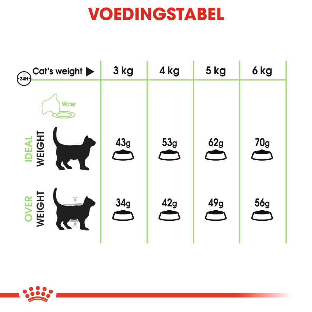 Citroen Smaak Afstoten Royal Canin Digestive Care Kat 4kg - Droogvoer Kat - Voer Royal Canin Care  Nutrition | Pharmapets