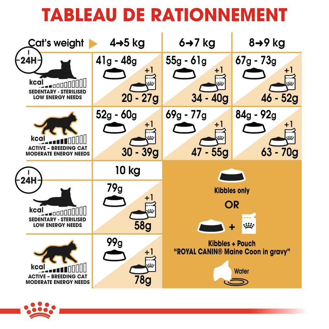 Royal Canin Maine Coon Adult Croquettes Pour Chat 400g - Posologie