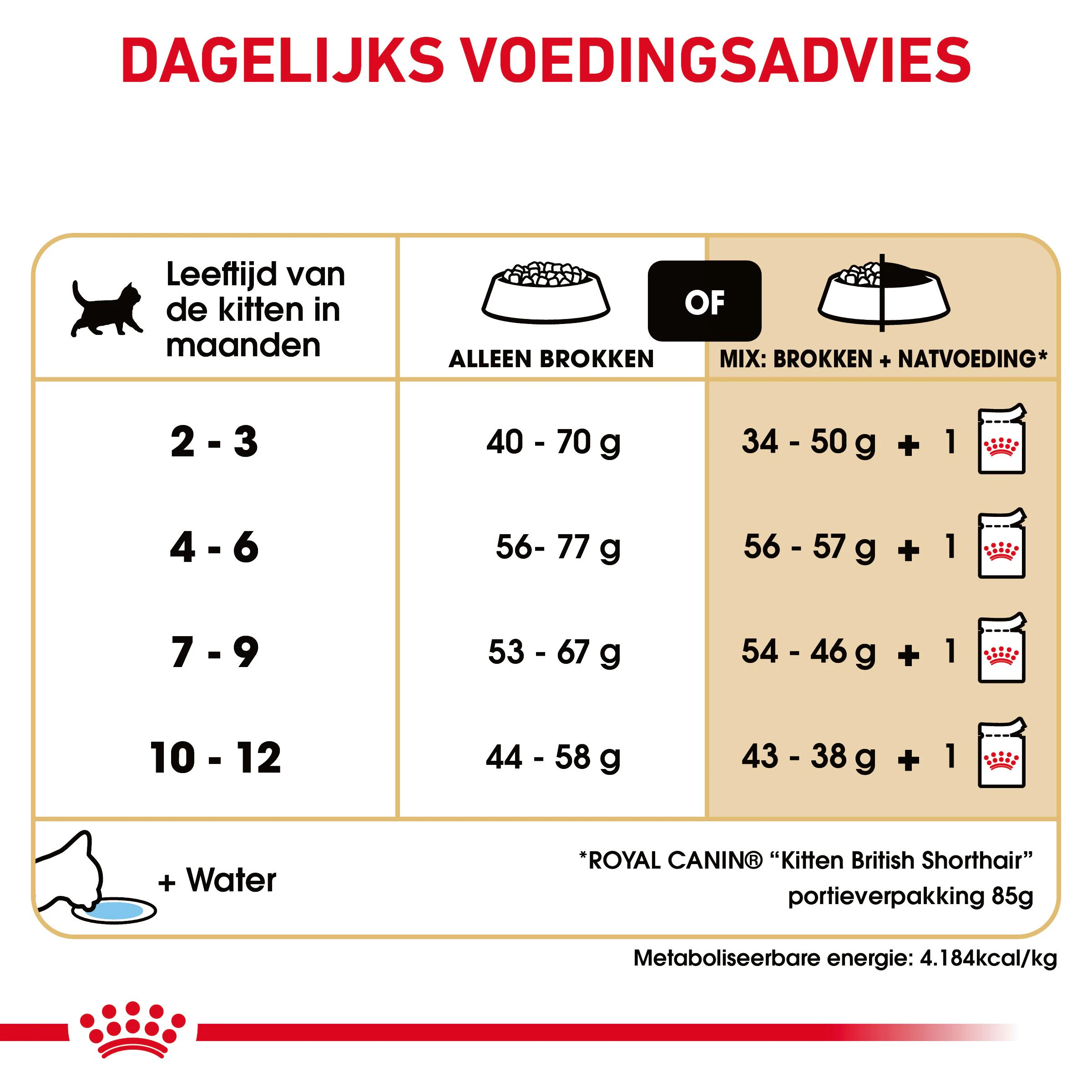 Royal Canin British Shorthair Kitten Droogvoer 400g - Dosering