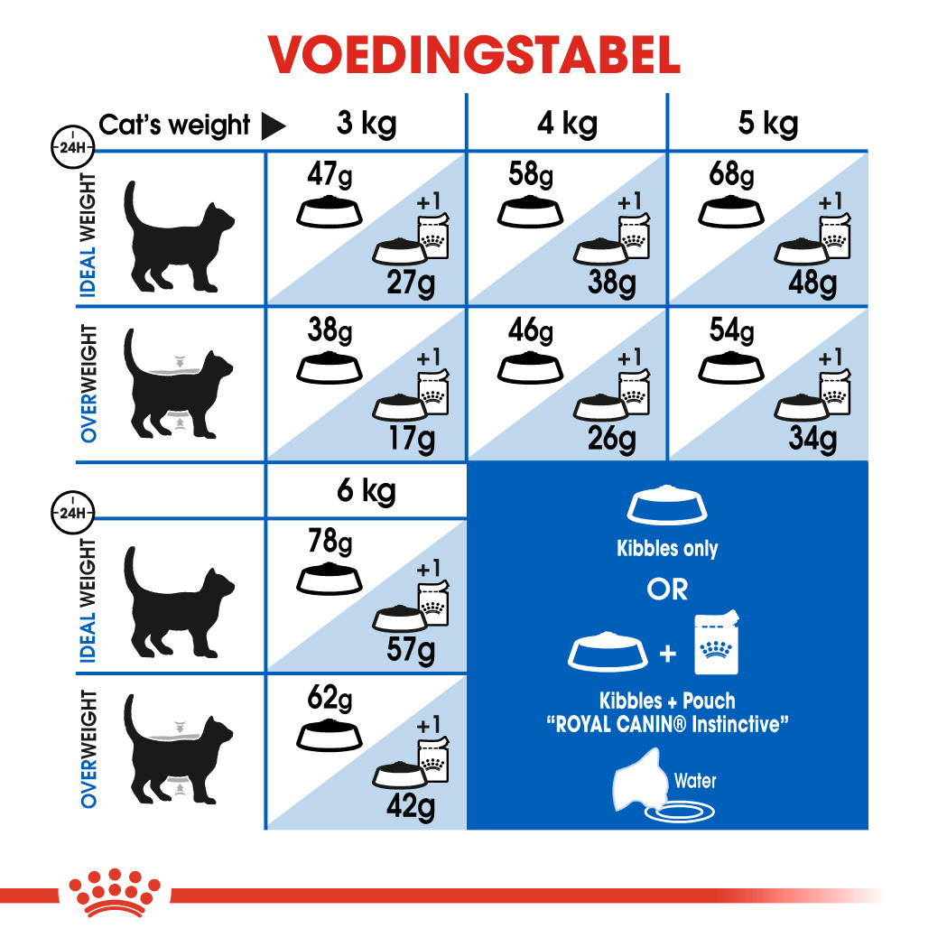 royal canin indoor cat