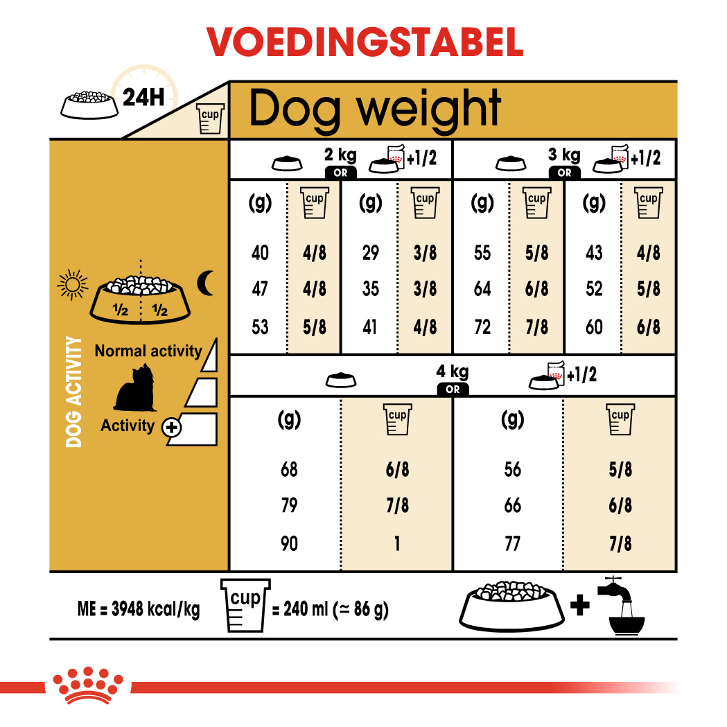 royal canin yorkshire terrier 8