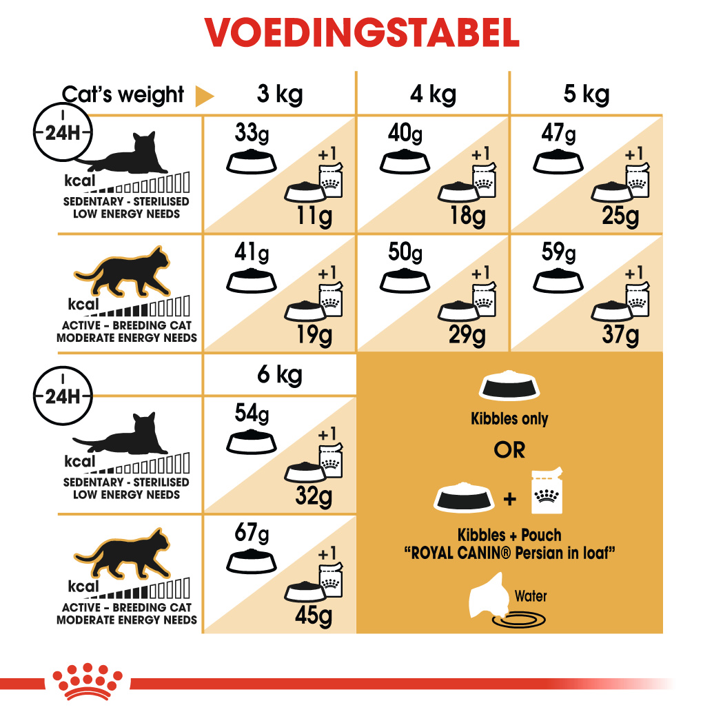 Royal Canin Persian Adult - Kattenvoer - 4 Kg - Droogvoer Kat - Voer Royal  Canin Breed Nutrition | Pharmapets