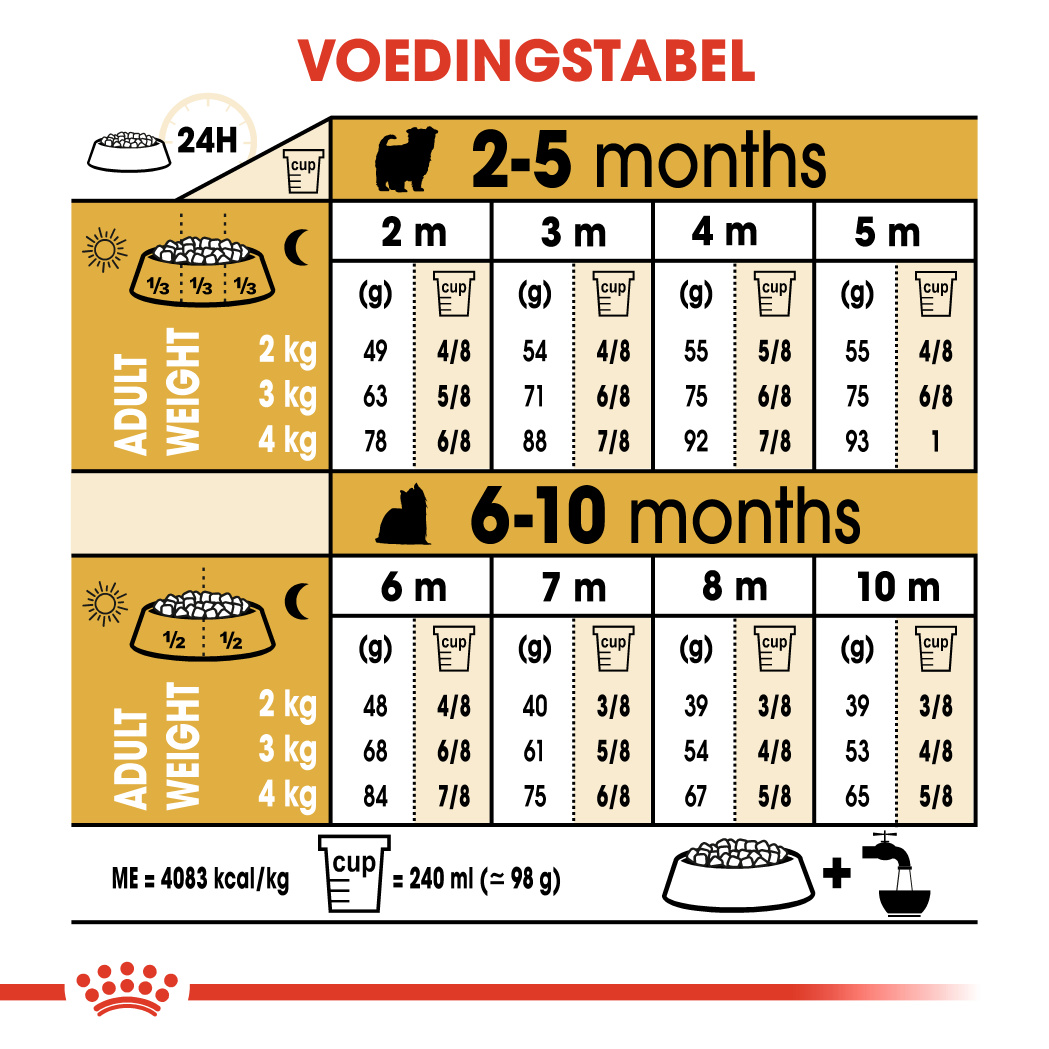 royal canin yorkshire terrier 8