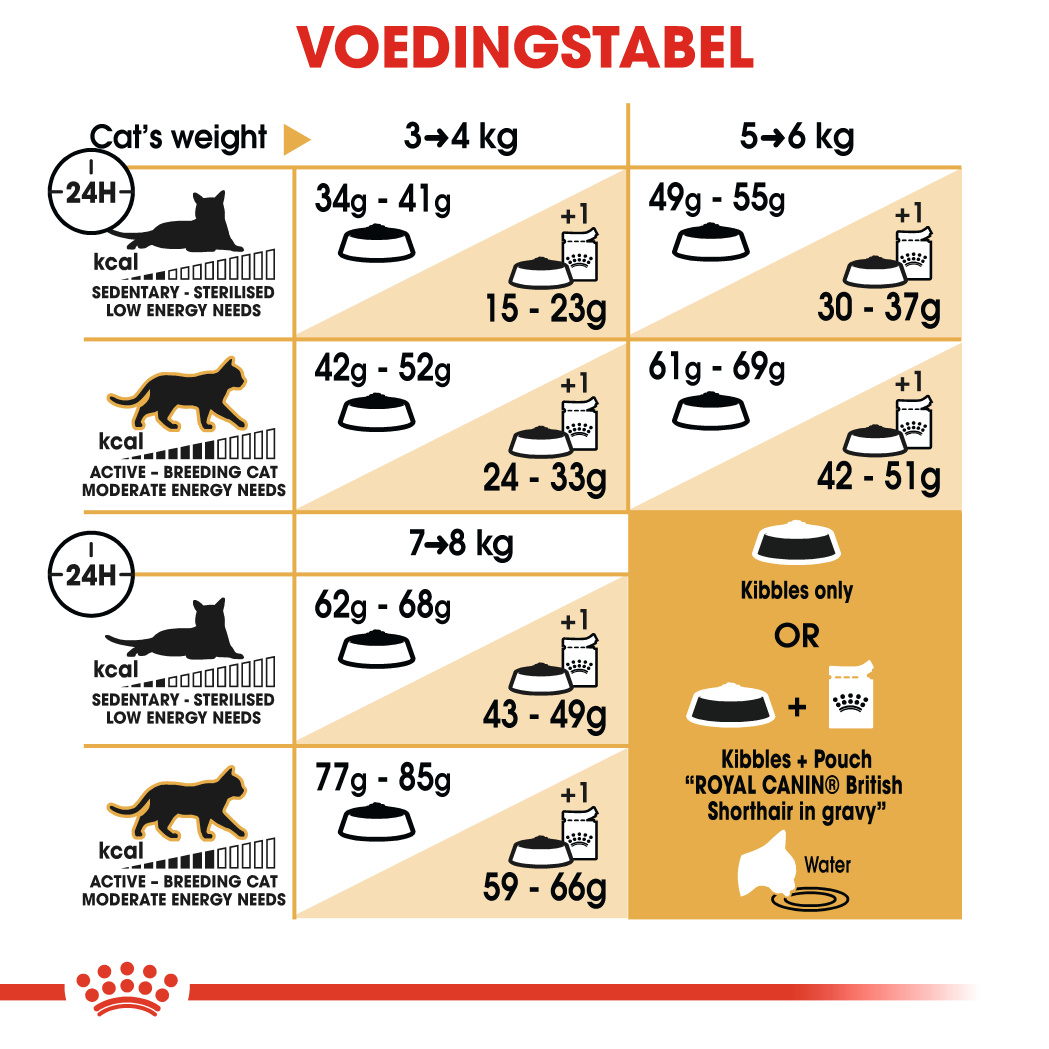 silhouet Bekwaamheid een vergoeding Royal Canin British Shorthair 34 - Kattenvoer - 4kg - Droogvoer Kat - Voer Royal  Canin Breed Nutrition | Pharmapets