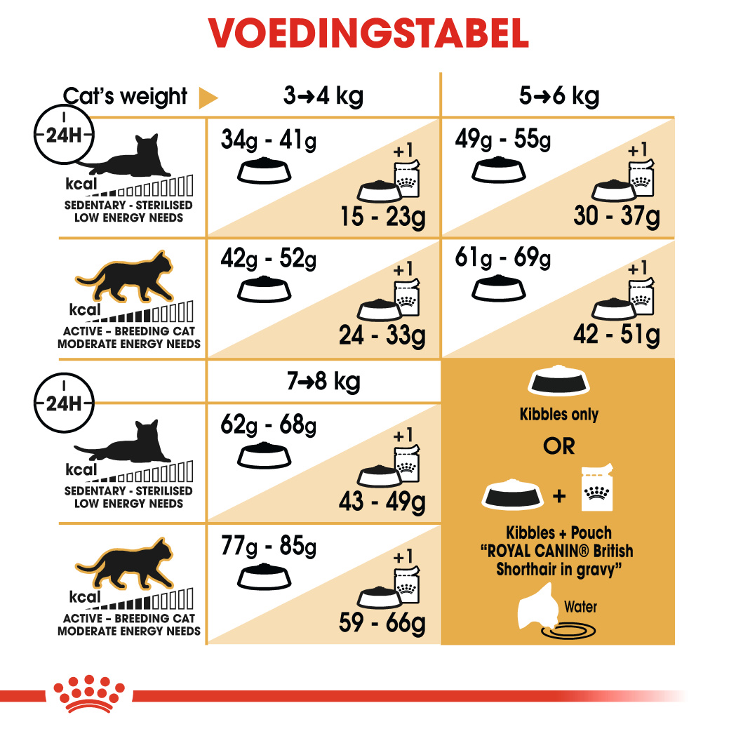 uitlokken Een effectief Gelach Royal Canin British Shorthair 34 - Kattenvoer - 4kg - Droogvoer Kat - Voer  Royal Canin Breed Nutrition | Pharmapets