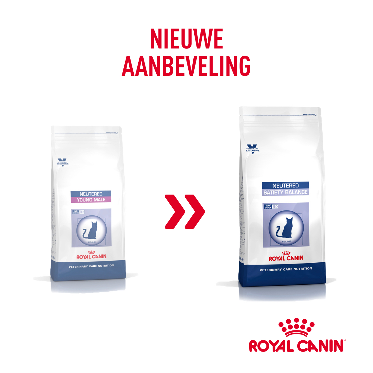 royal canin young neutered female cat food