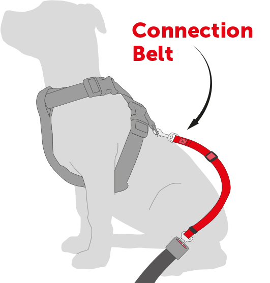 2 Ceintures De Sécurité Ajustables Pour Chien En Voiture - Harnais élastique Anti-vibration Noir Et Bleu - 13