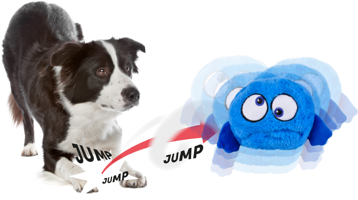 Klas een keer Aannemelijk Jumping Ball Blauw - Interactief-Elektronisch speelgoed Hond - Speelgoed  Flamingo | Pharmapets