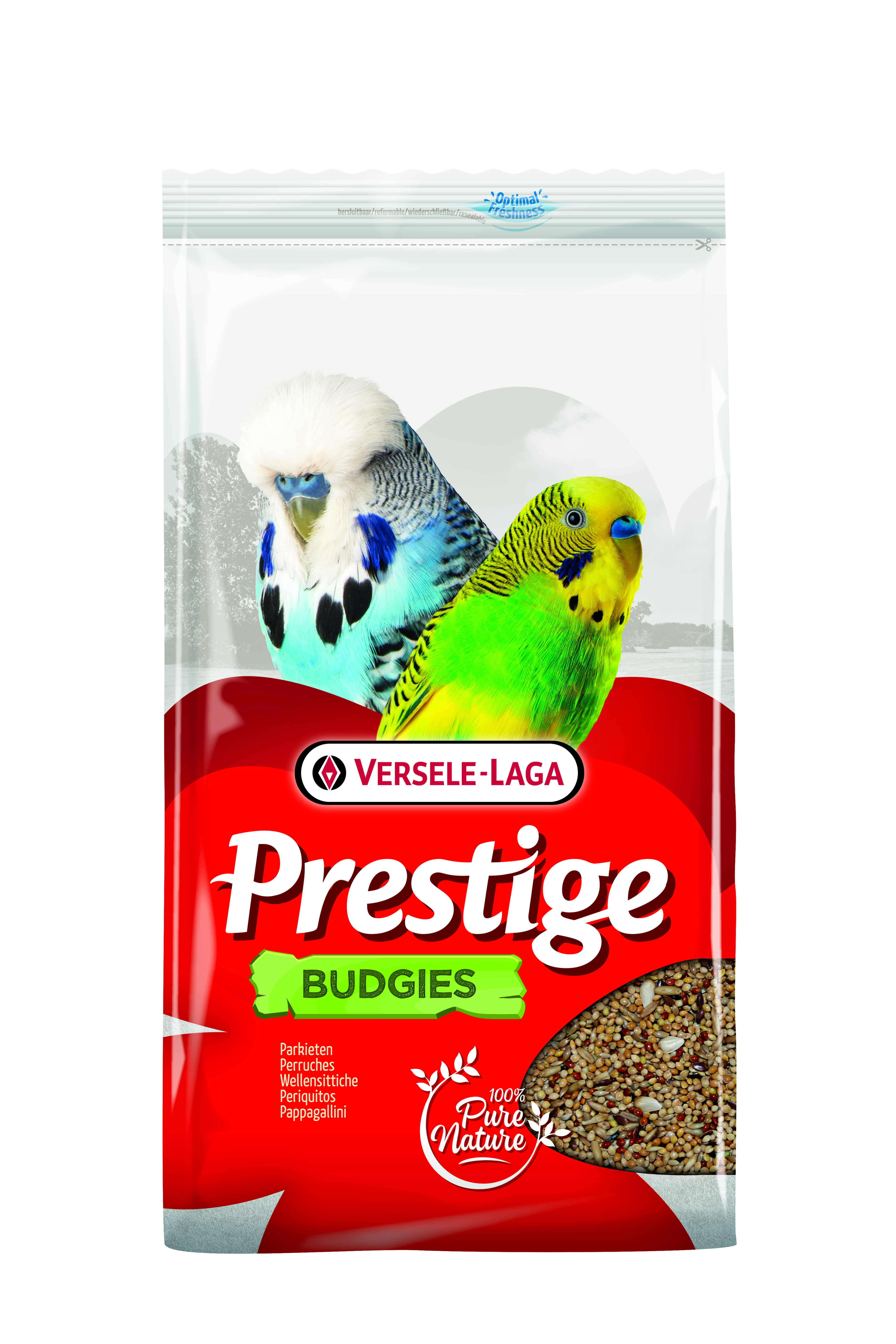 Prestige perruche