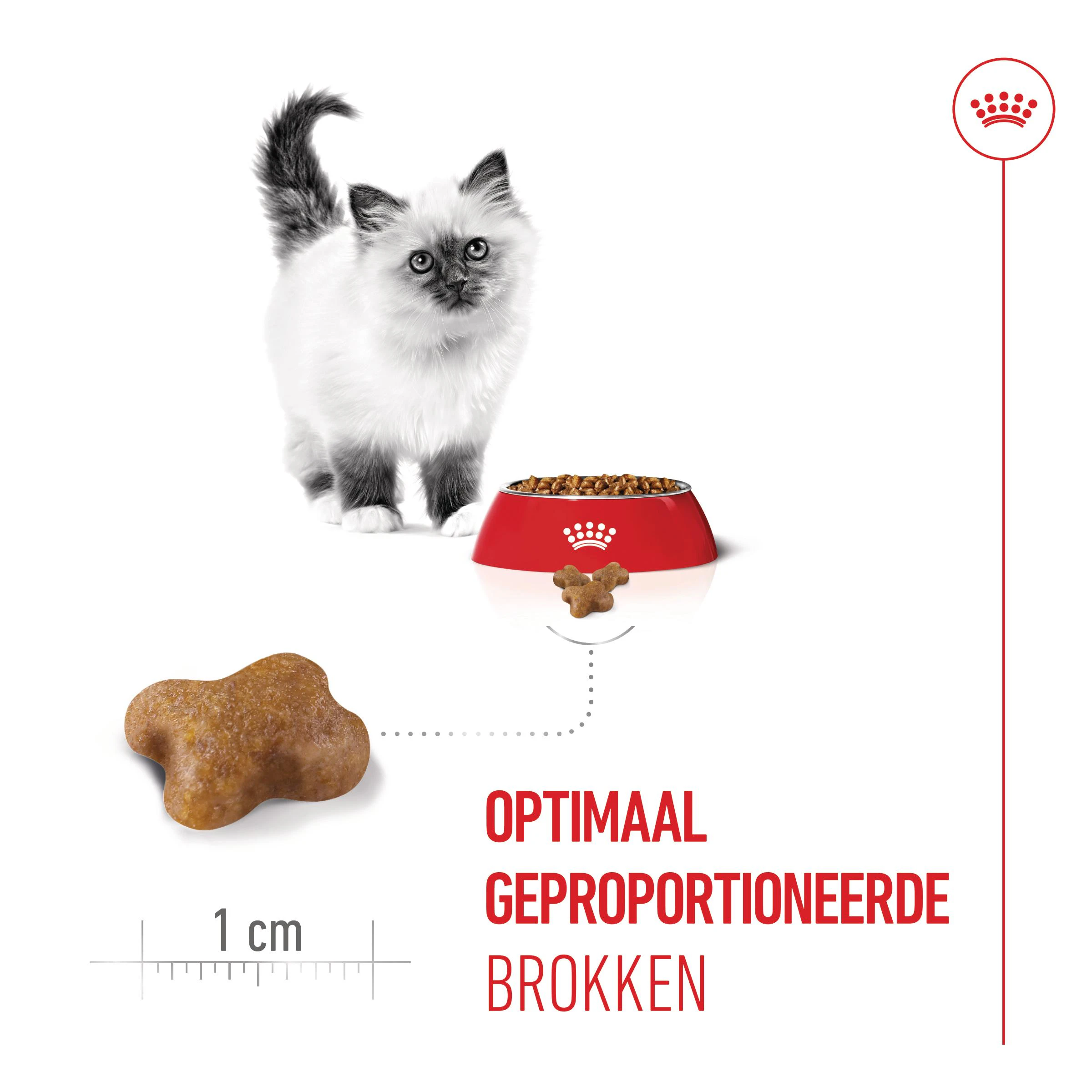 Royal Canin Babycat Milk kittenmelk | Bestellen