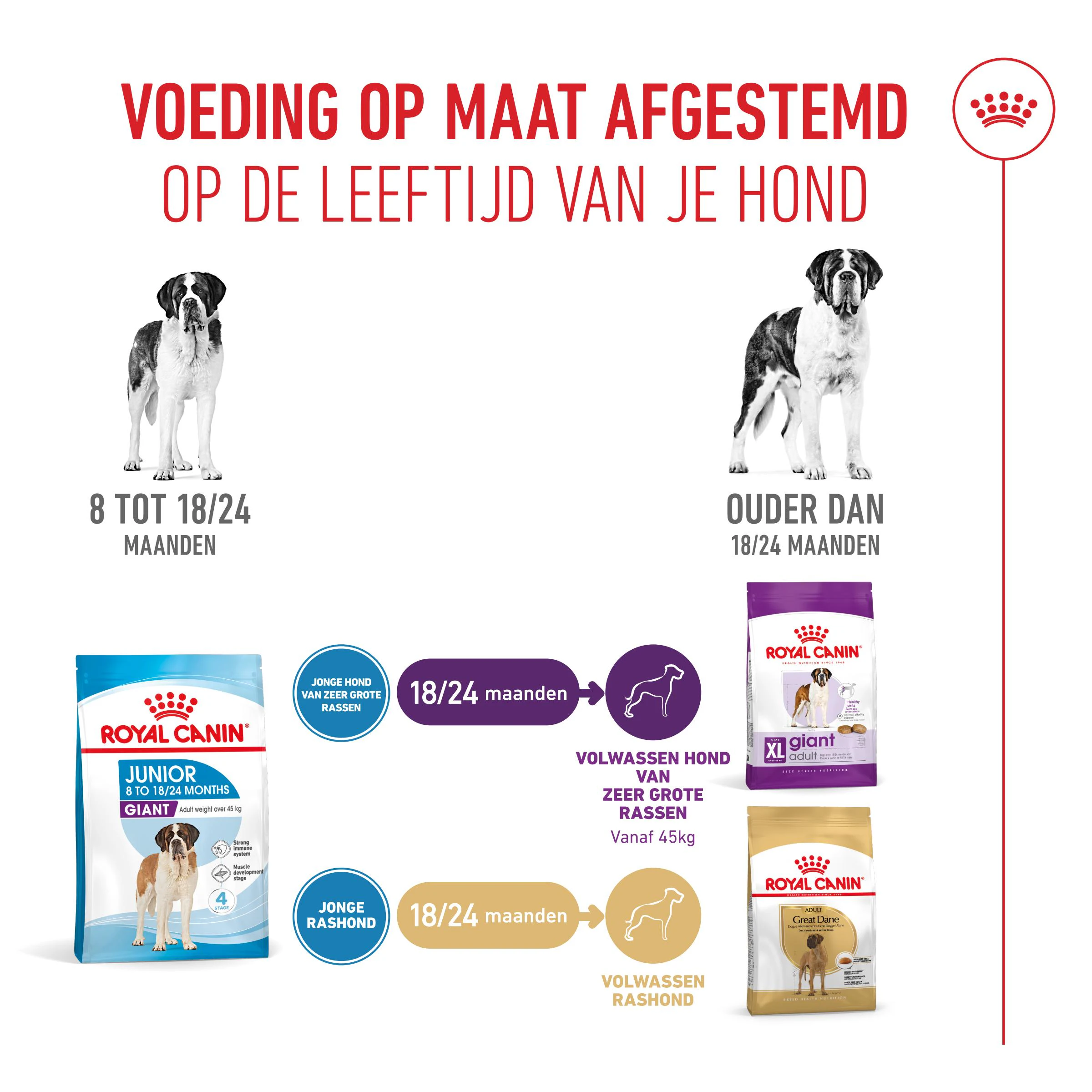 Royal Canin Giant Junior Hondenvoer 15kg Royal Canin Size