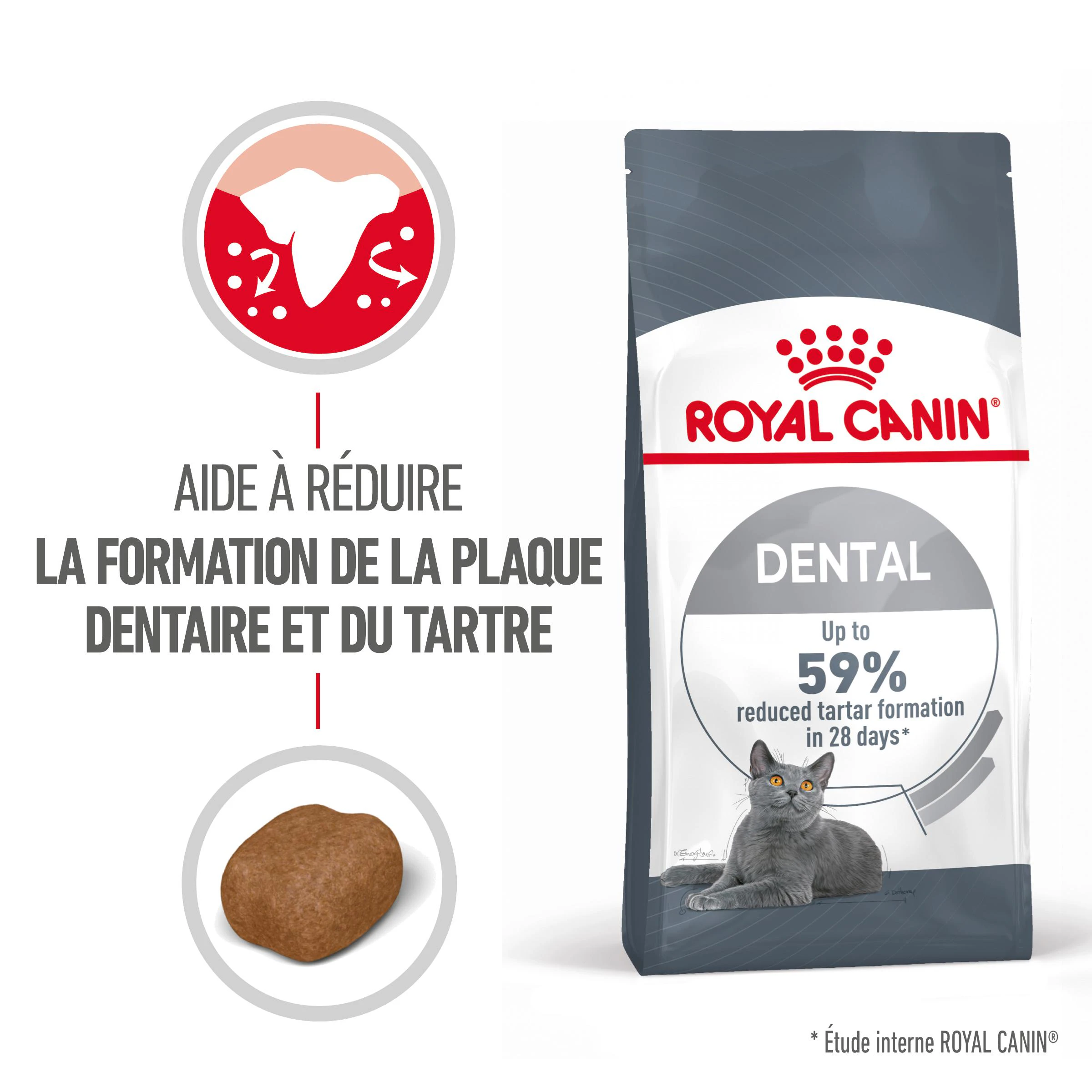1-Le Systeme Squelettique.1docx