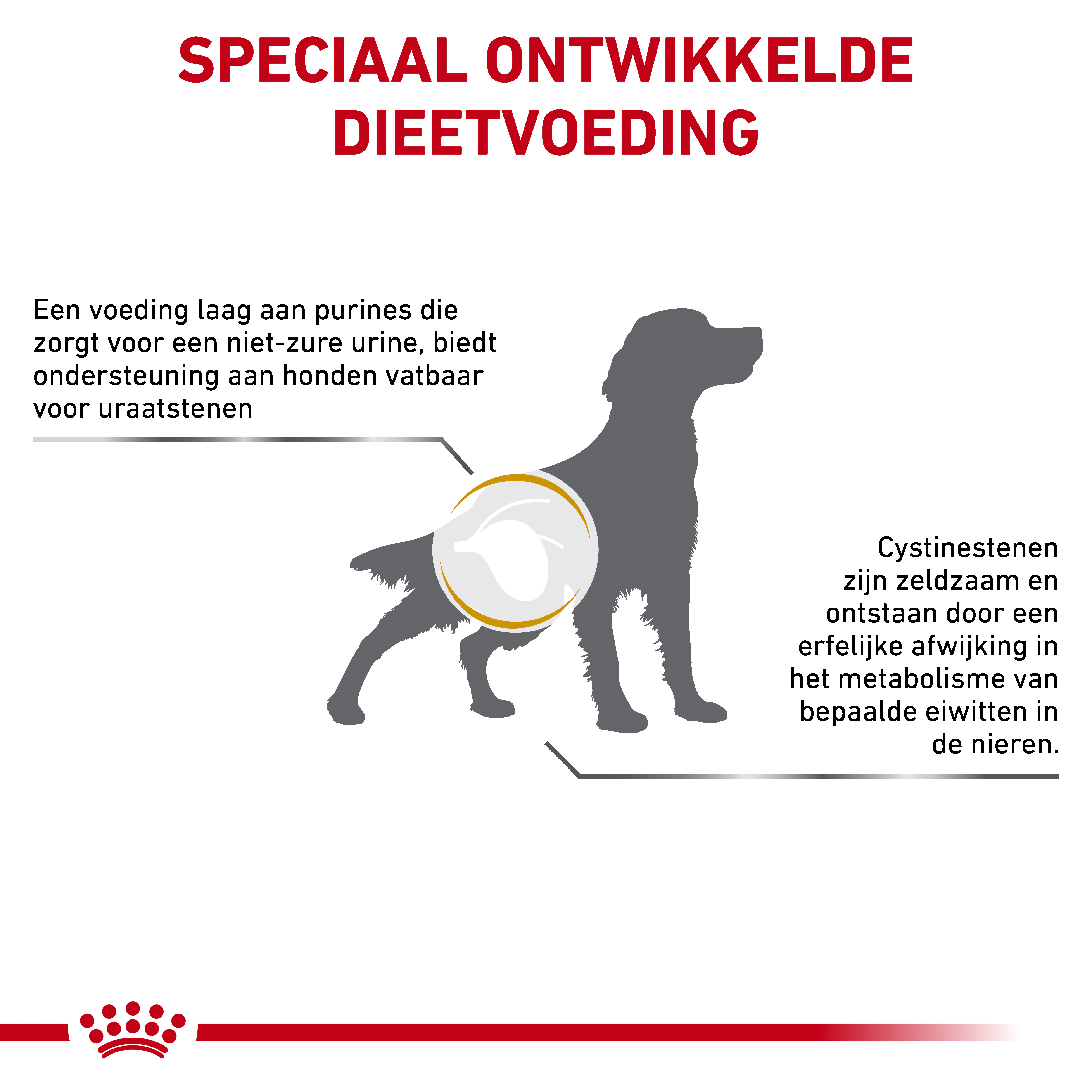 ROYAL CANIN Urinary U/C Low Purine UUC18 14kg niespodzianka dla psa GRATIS! | Sklep ROYAL CANIN Urinary U/C Low Purine UUC18 14kg niespodzianka dla psa GRATIS! | Sklep