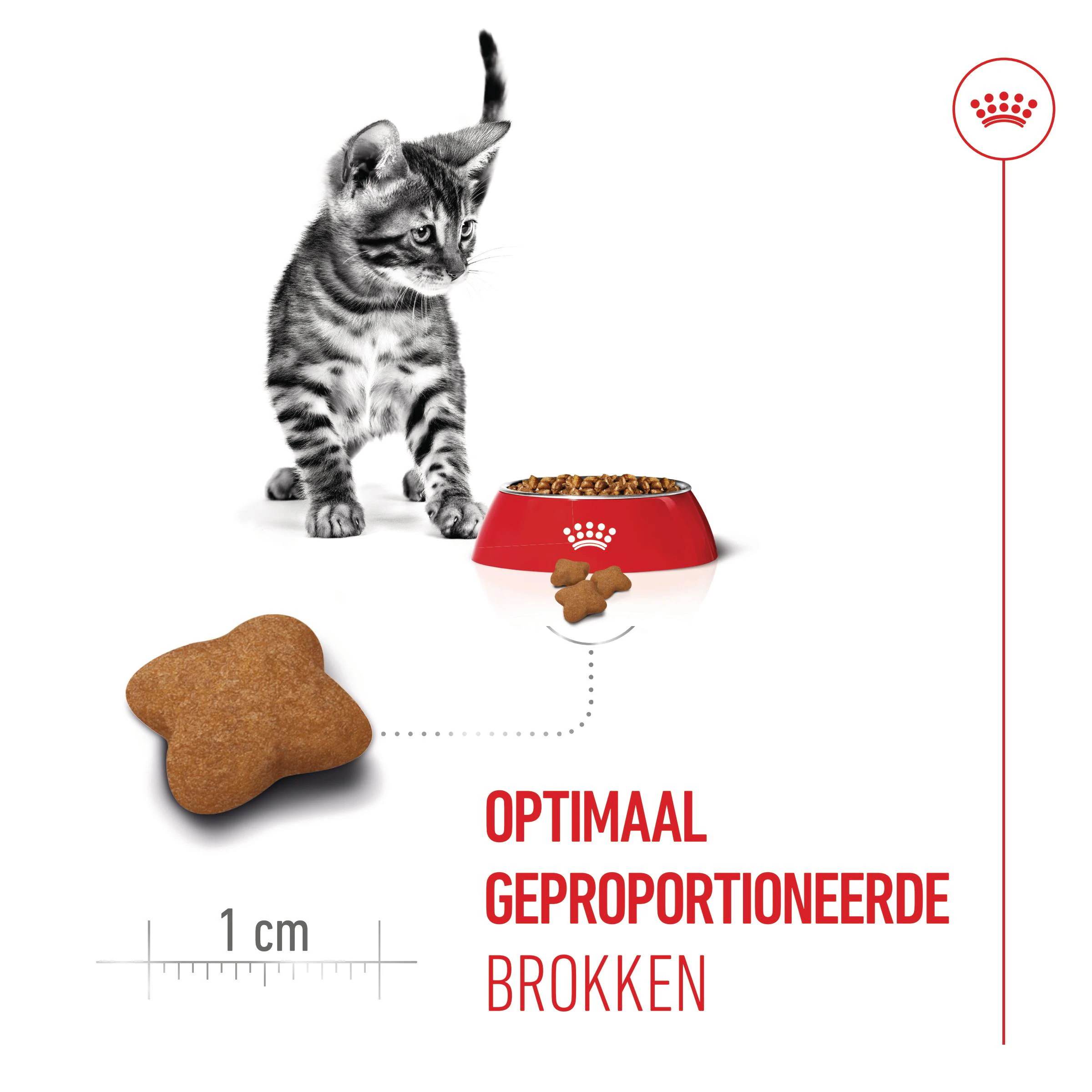 Kattenvoer voor gesteriliseerde katten ✓ Koop vanaf 3.99