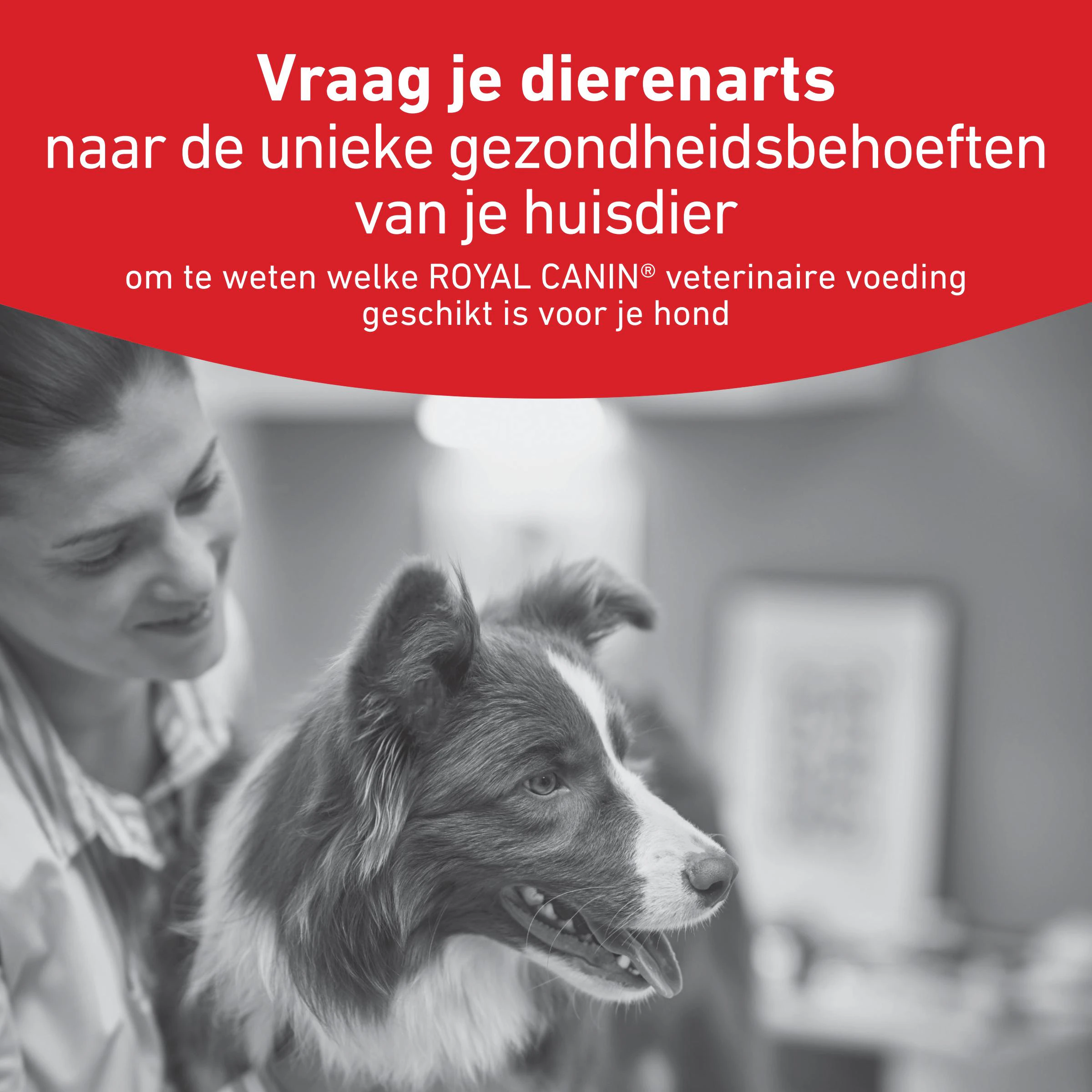 Royal Canin Veterinary Diets Glycobalance Hondenvoer Royal Canin Veterinary Diet