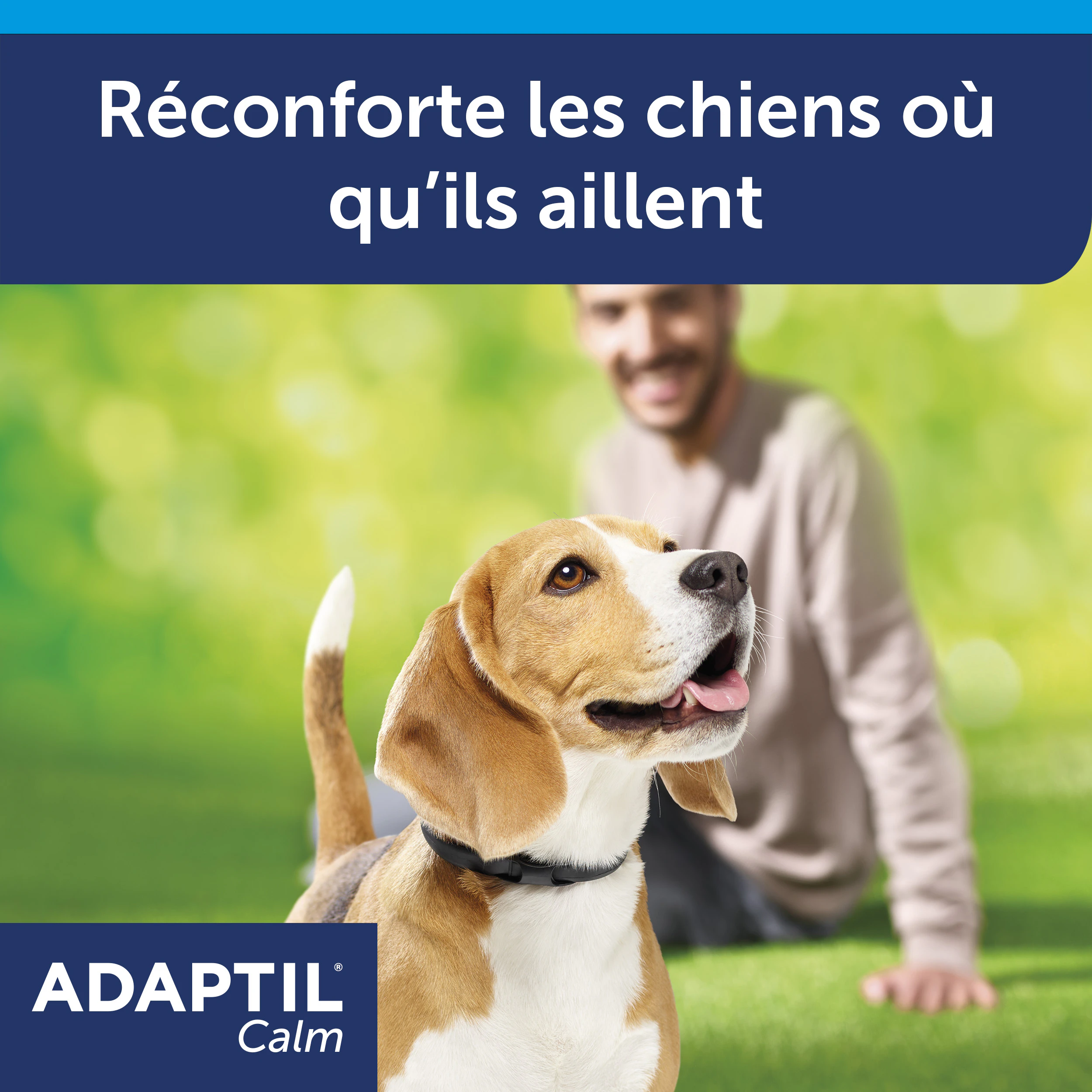 Lot De 6 Colliers Apaisants Pour Chien Aux Phéromones - Effet Jusqu'à 60 Jours, Taille Réglable - Pour Stress, Anxiété, Voyages