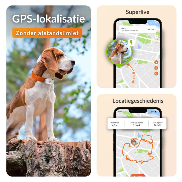 Weenect XS-hond - GPS-tracker voor honden | Mini GPS-tracker voor honden in real-time | waterdicht | kleinste model op de markt | werkt met abonnement | levenslange garantie Weenect XS-hond - GPS-tracker voor honden | Mini GPS-tracker voor honden in real-time | waterdicht | kleinste model op de markt | werkt met abonnement | levenslange garantie