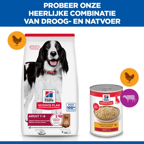 Trainer Natural Maxi met Kip, Rijst & Aloë Vera bij Bitiba
