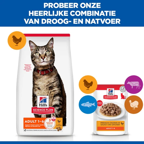 Leonardo zonder granen Fresh Salmon met zalm voor katten