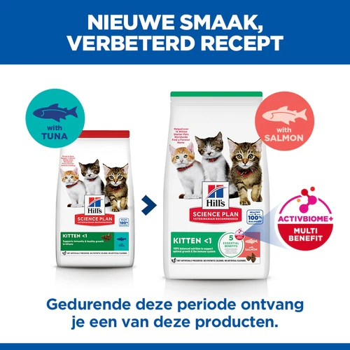 Hill's Science Plan Kittenvoer met Zalm 1,5kg Hill's Science Plan