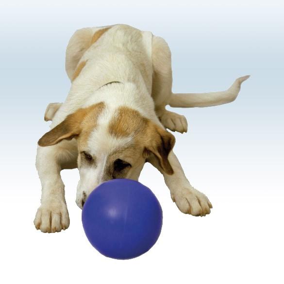 Boomer Ball - Jouet Boomer Ball pour chien