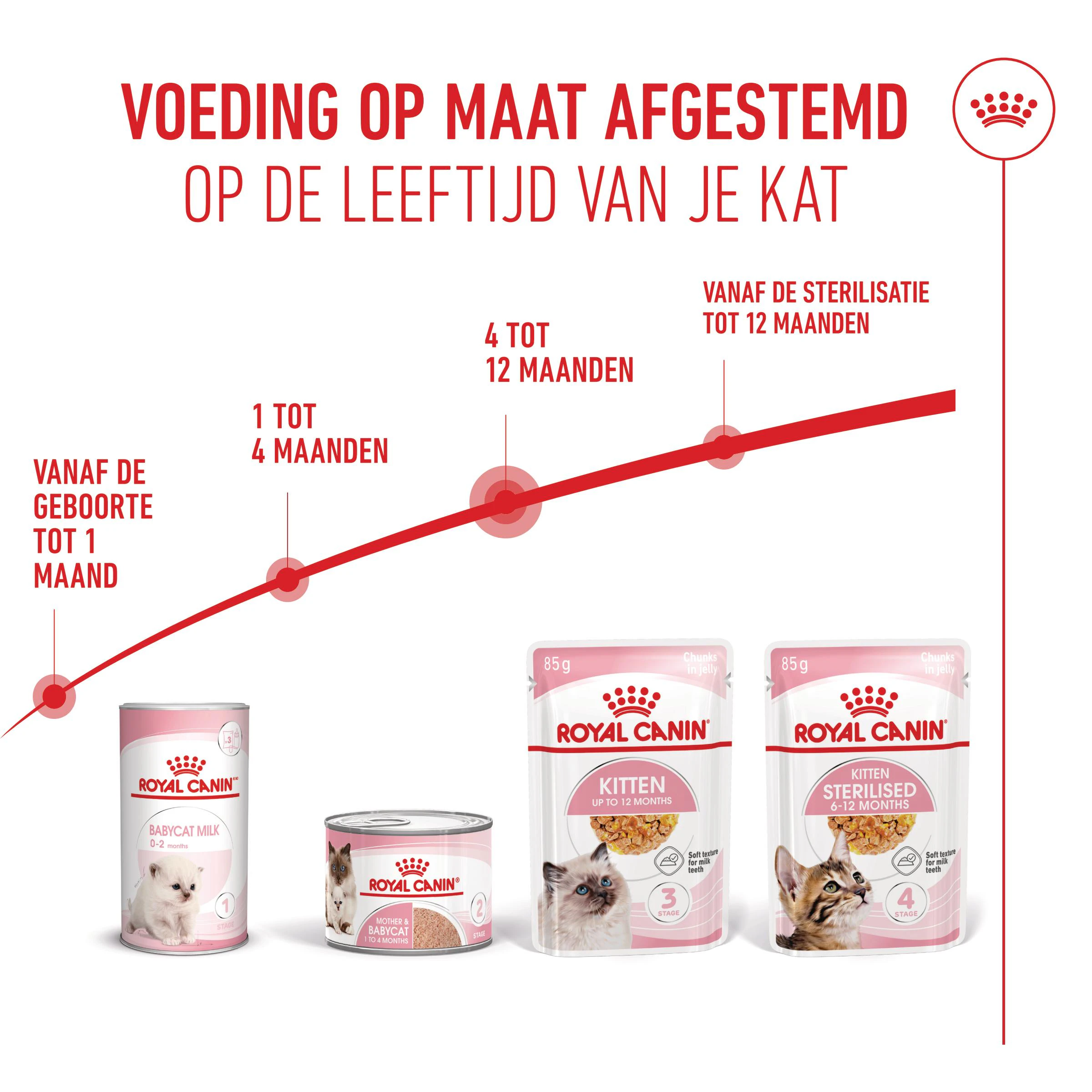 ROYAL CANIN 03RCK400 Kitten,400 g (1er-pakket