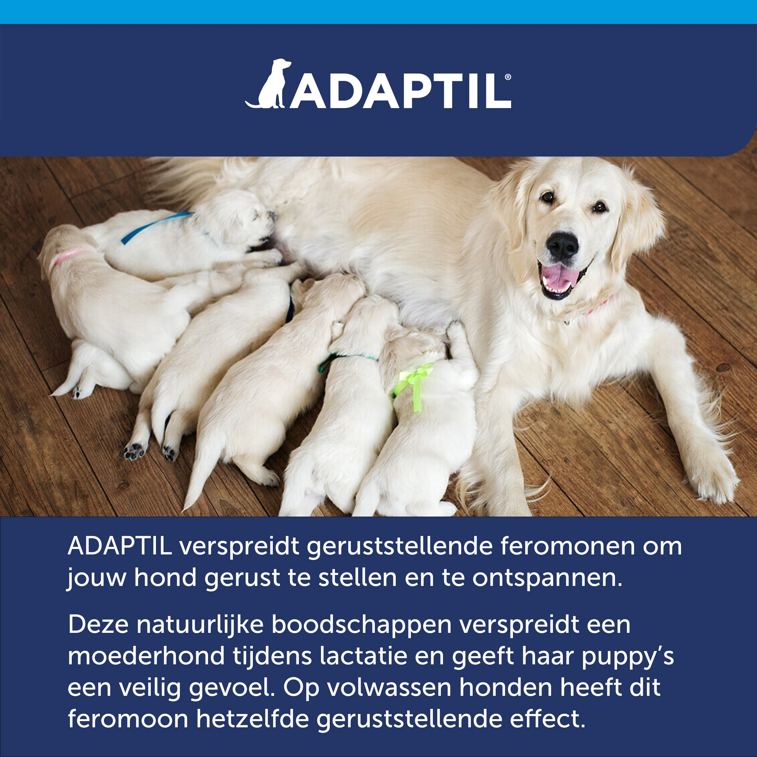 Adaptil ® Calm halsband voor middelgrote en grote honden - Vergelijk