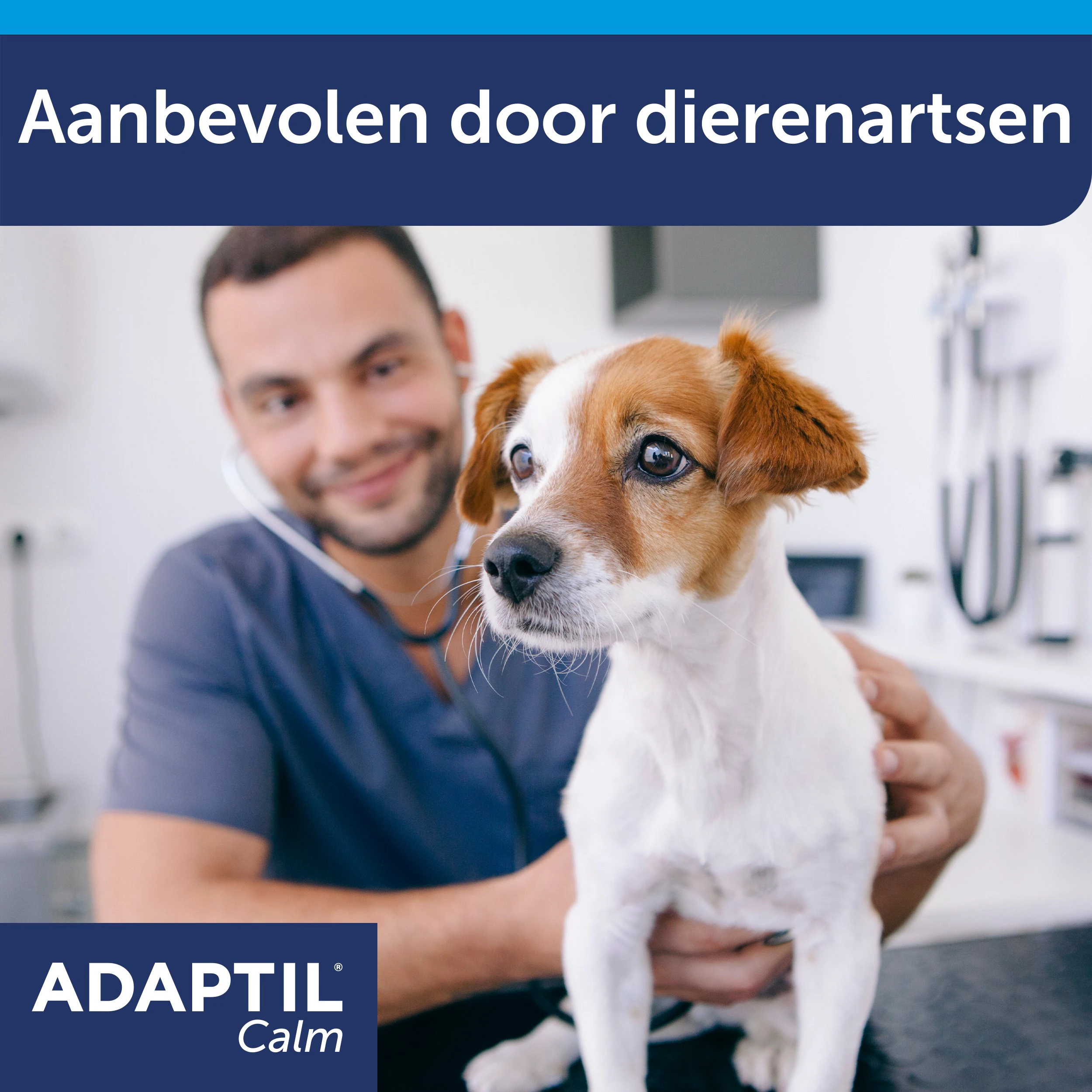ADAPTIL ® Halsband für mittelgroße und große Hunde 1 St - Shop Apotheke