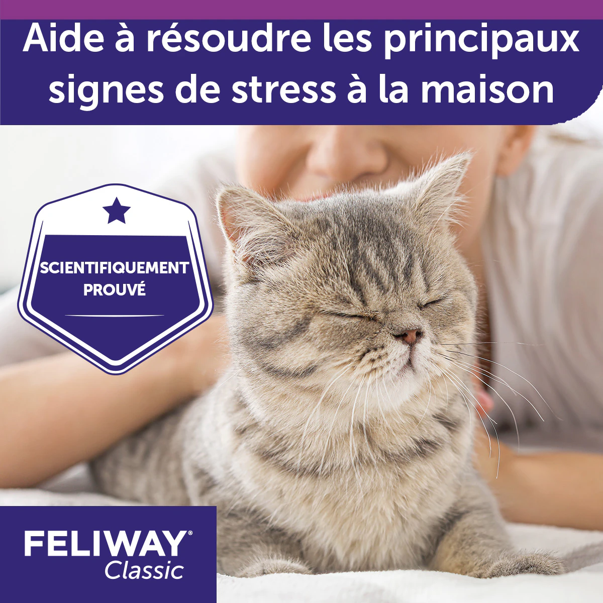 Feliway Classic Diffuseur pour Chat recharge | La Compagnie des Animaux Feliway Classic Diffuseur pour Chat recharge | La Compagnie des Animaux