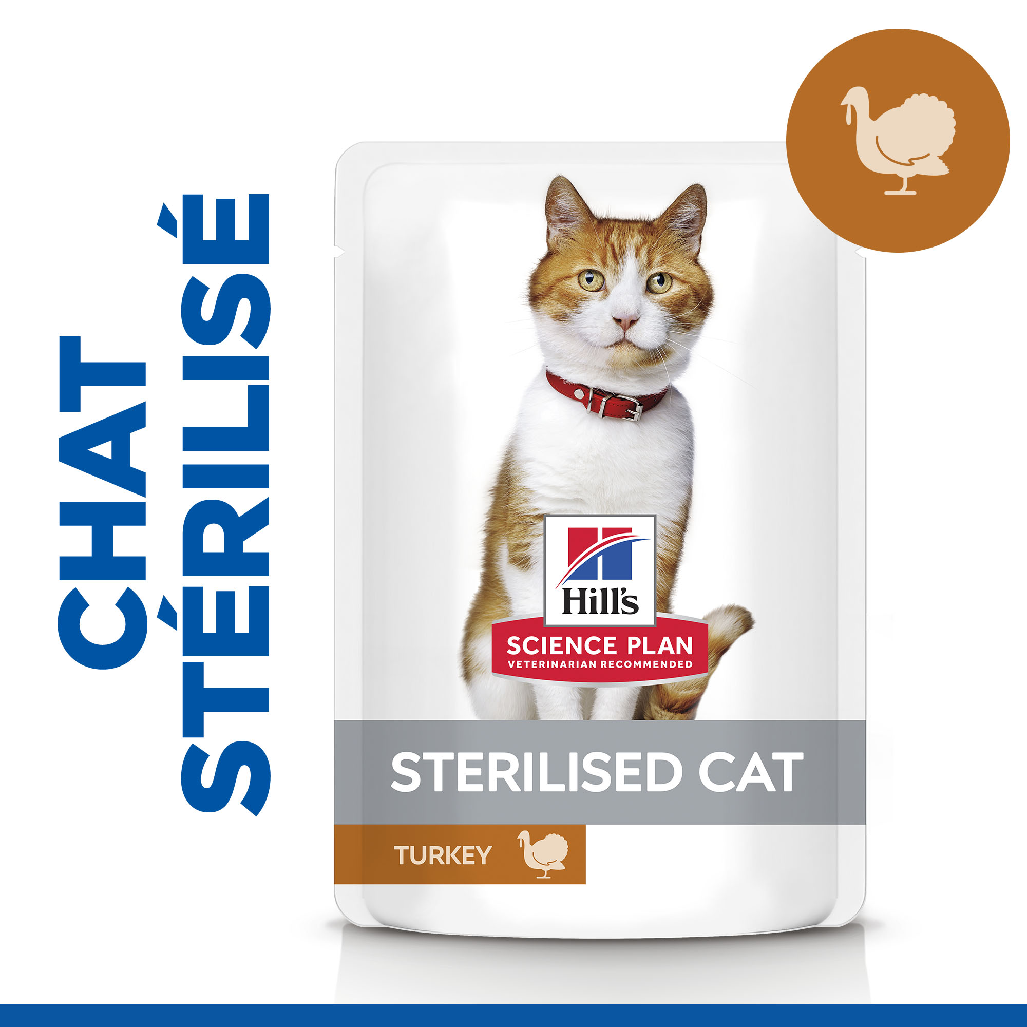 Porte-sachet De Thé Chat A - Porte-sachet De Thé Théière Chat Mignon - Cadeaux Pour Les Amoureux Des Chats - Décoration De Tasse Amusante - France