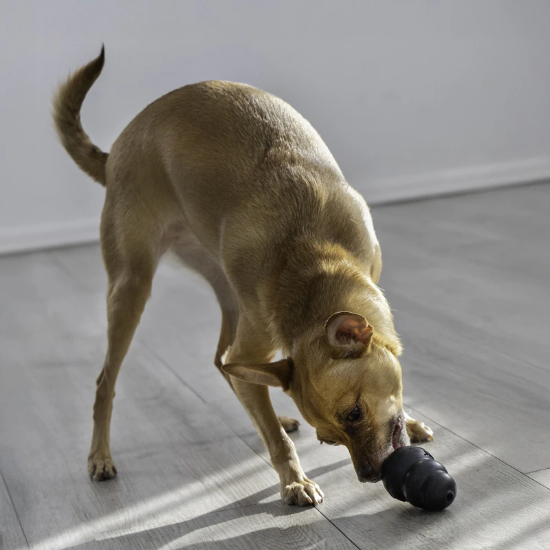 The Mellow Dog Kalmerende Eend Speelgoed - Kwakzalver Hond Piepend Pluche Kussen - Kous Stuffers Voor Huisdieren
