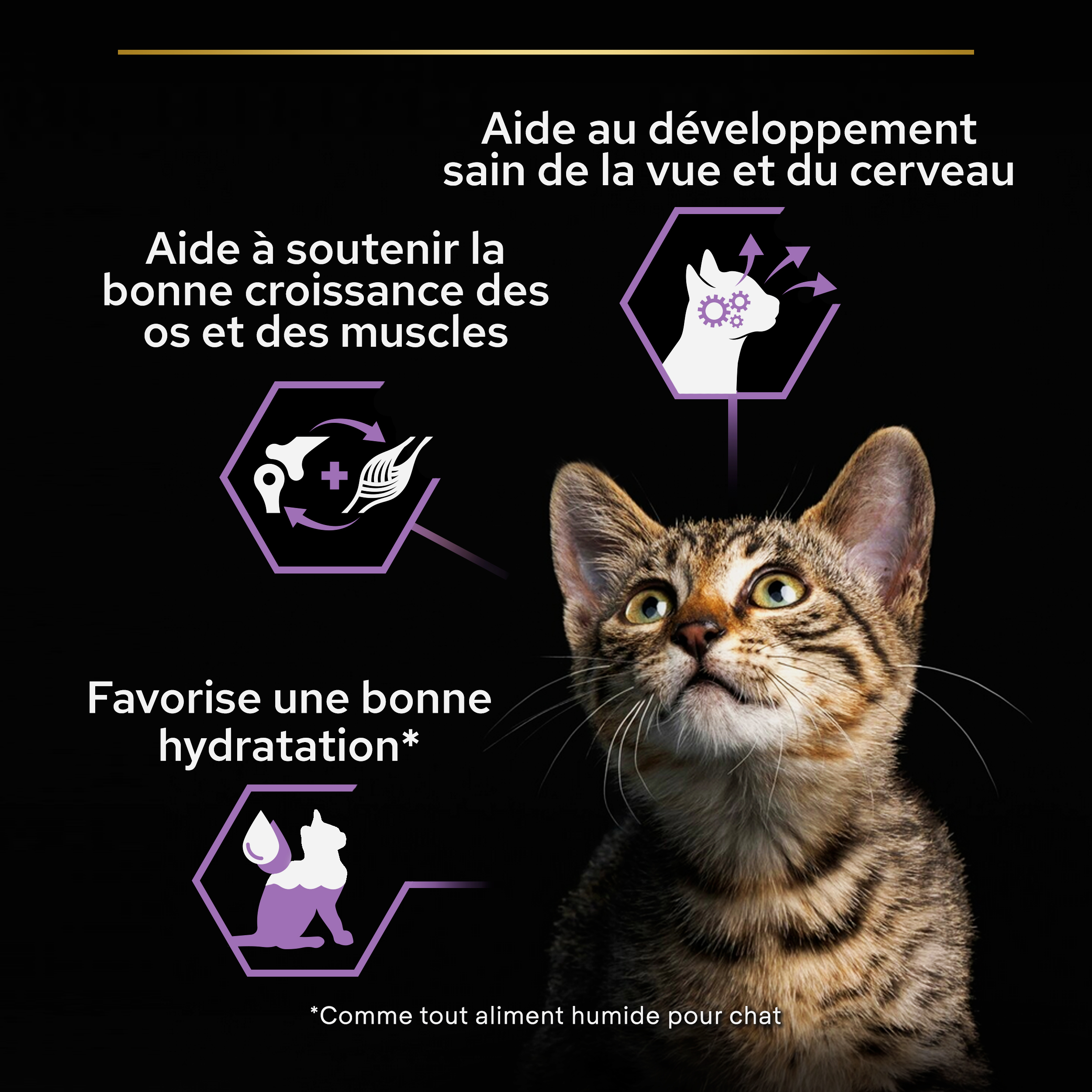 Pâtée pour chat junior à la dinde Pro plan 85 g : Pâtées et alimentation  humide pour chat PROPLAN animalerie - botanic®