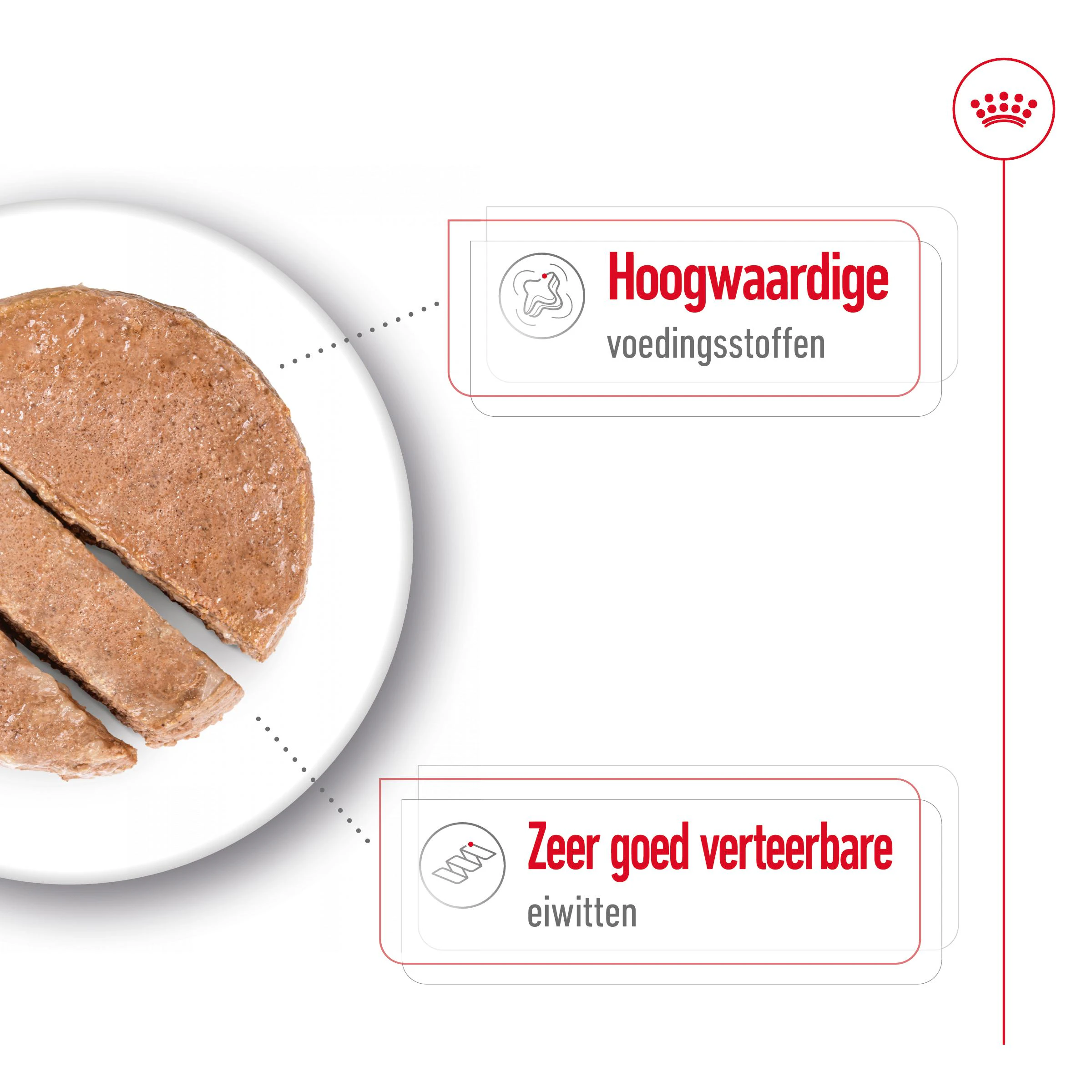 Royal Canin Persian Adult natvoer goedkoop bestellen bij
