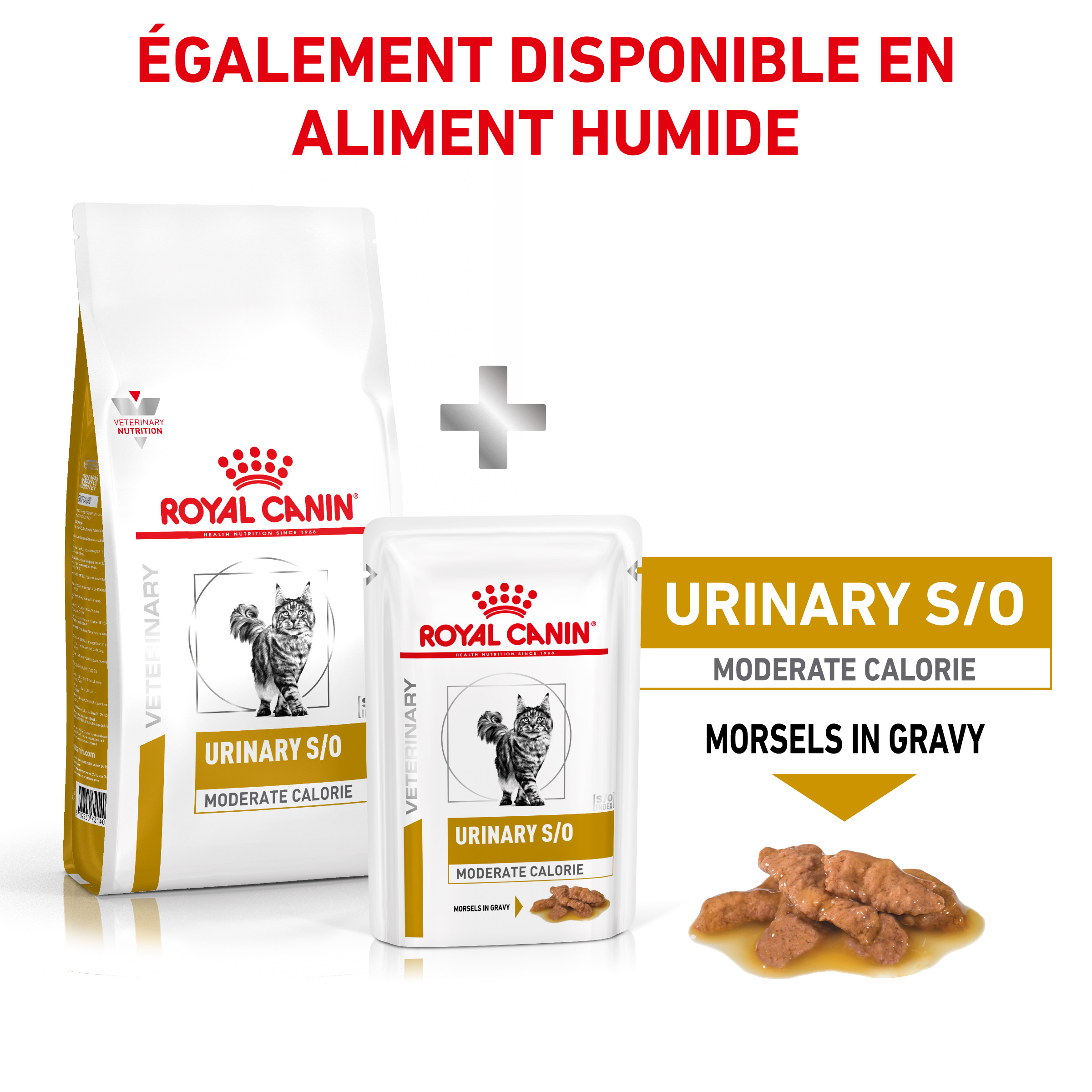 Royal Canin Urinary S/O Moderate Calorie Chat Croquettes 2 x 9 kg = 18kg :  : Animalerie