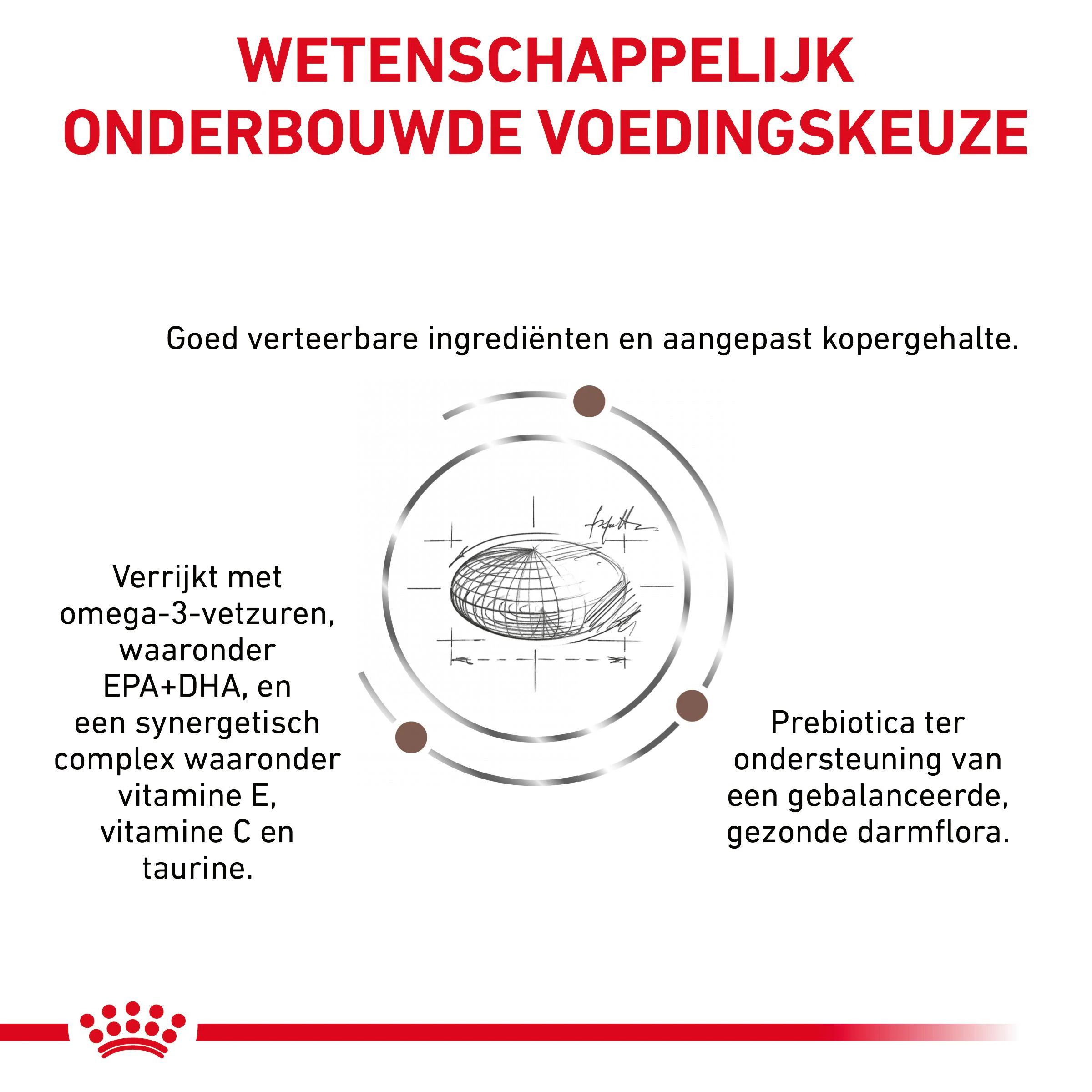 ROYAL CANIN FELINE KITTEN GASTROINTESTINAL 195GR (ROYAL CANIN) - Kittens en jonge katten - Kattenvoeding - Katten - Webshop - Verwen je dier