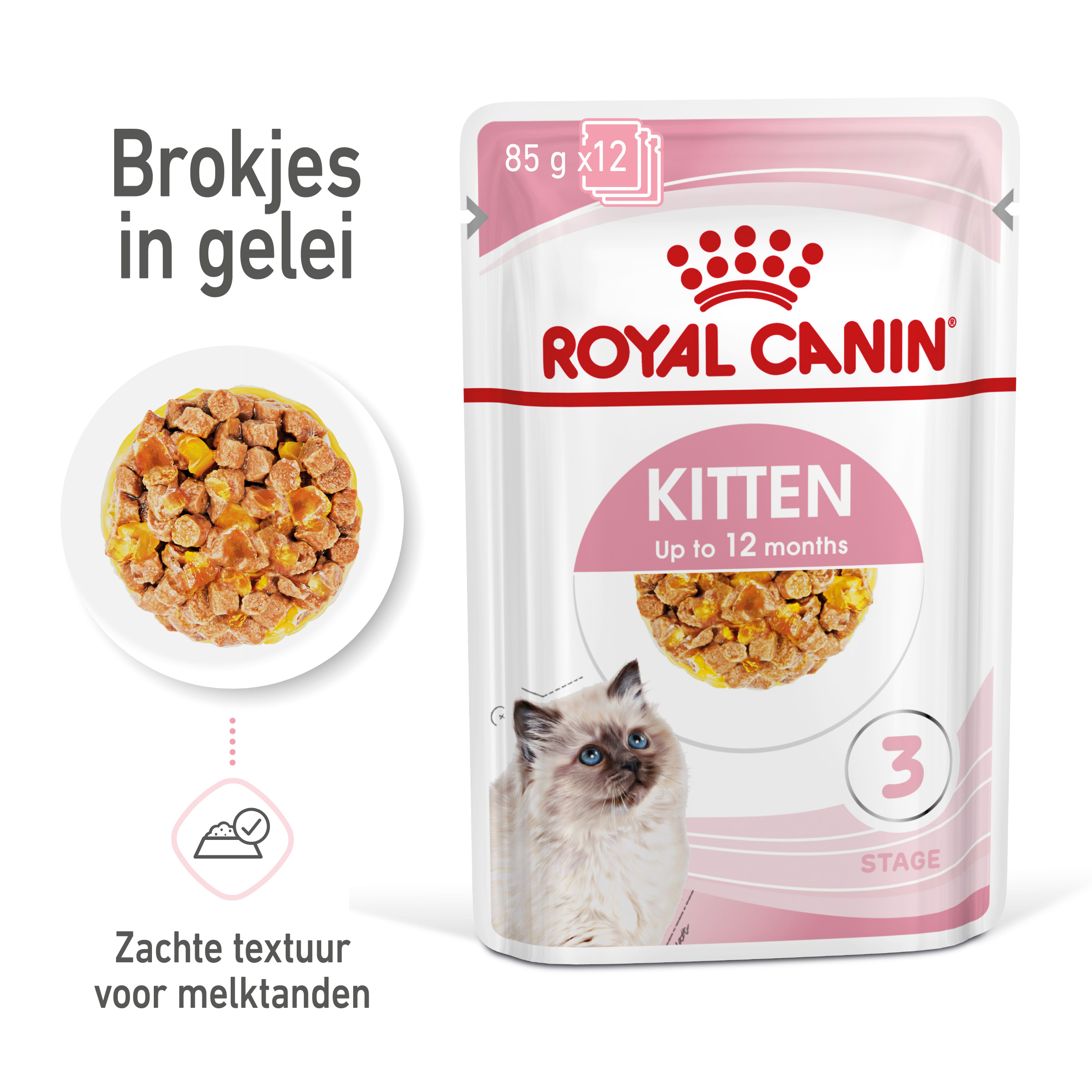 Blauwdruk ga werken vorst Royal Canin Kitten in Jelly kattenvoer 12x85g - Natvoer Kat - Voer Royal  Canin Health Nutrition | Pharmapets