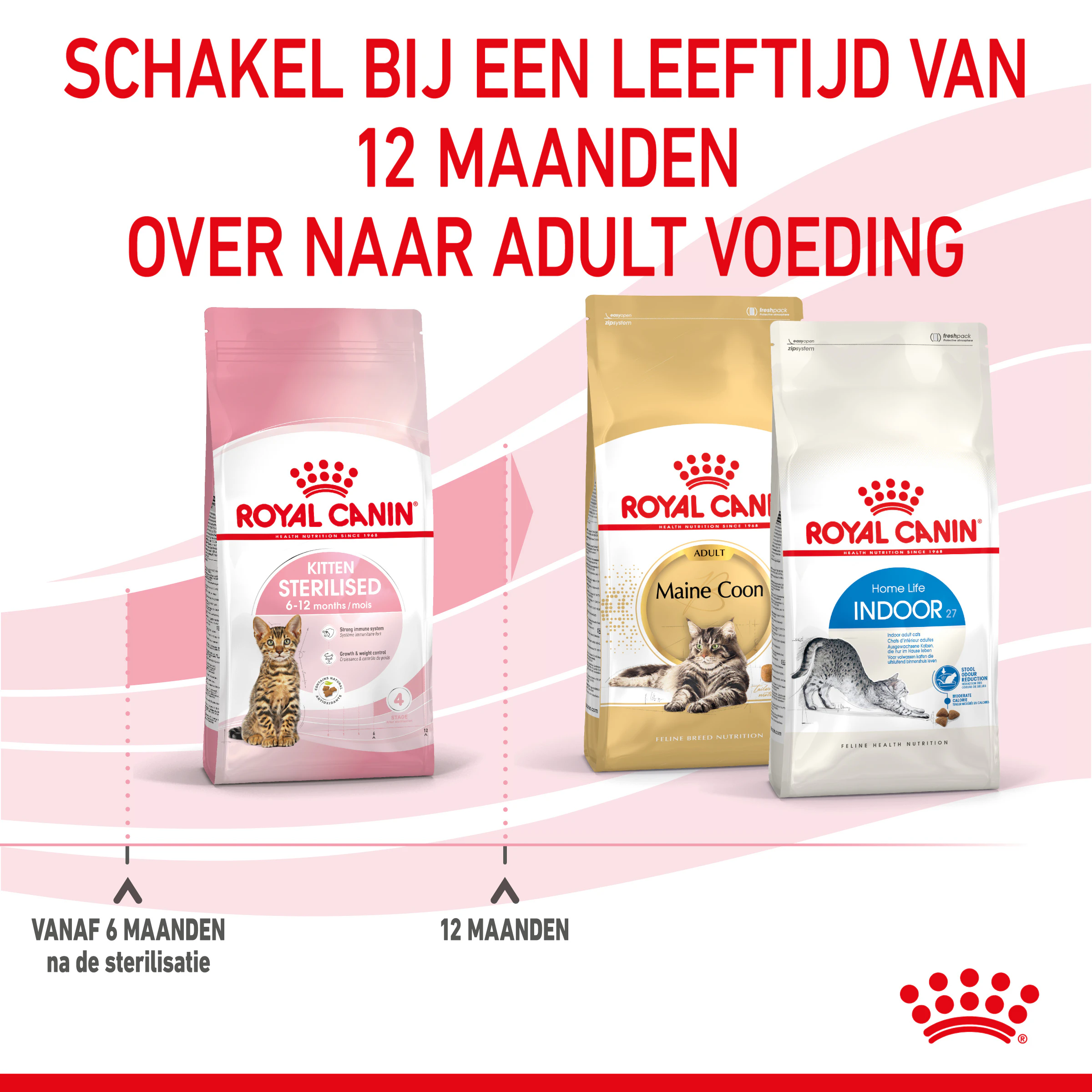 Royal canin kattenvoer in saus indoor sterilised 85 g 12 stuks