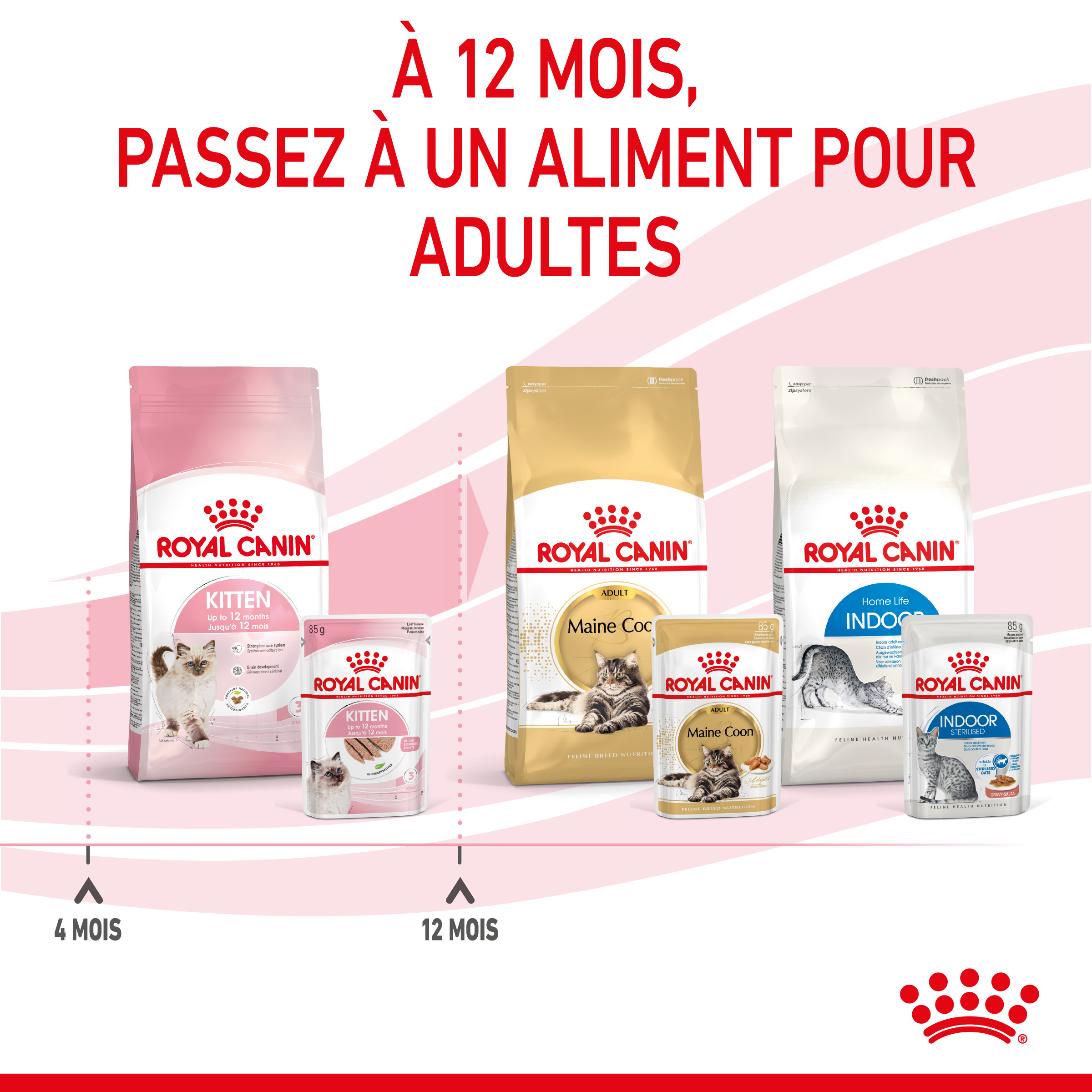 Pack de 12 Mousses Royal Canin Recovery pour Chien et Chat