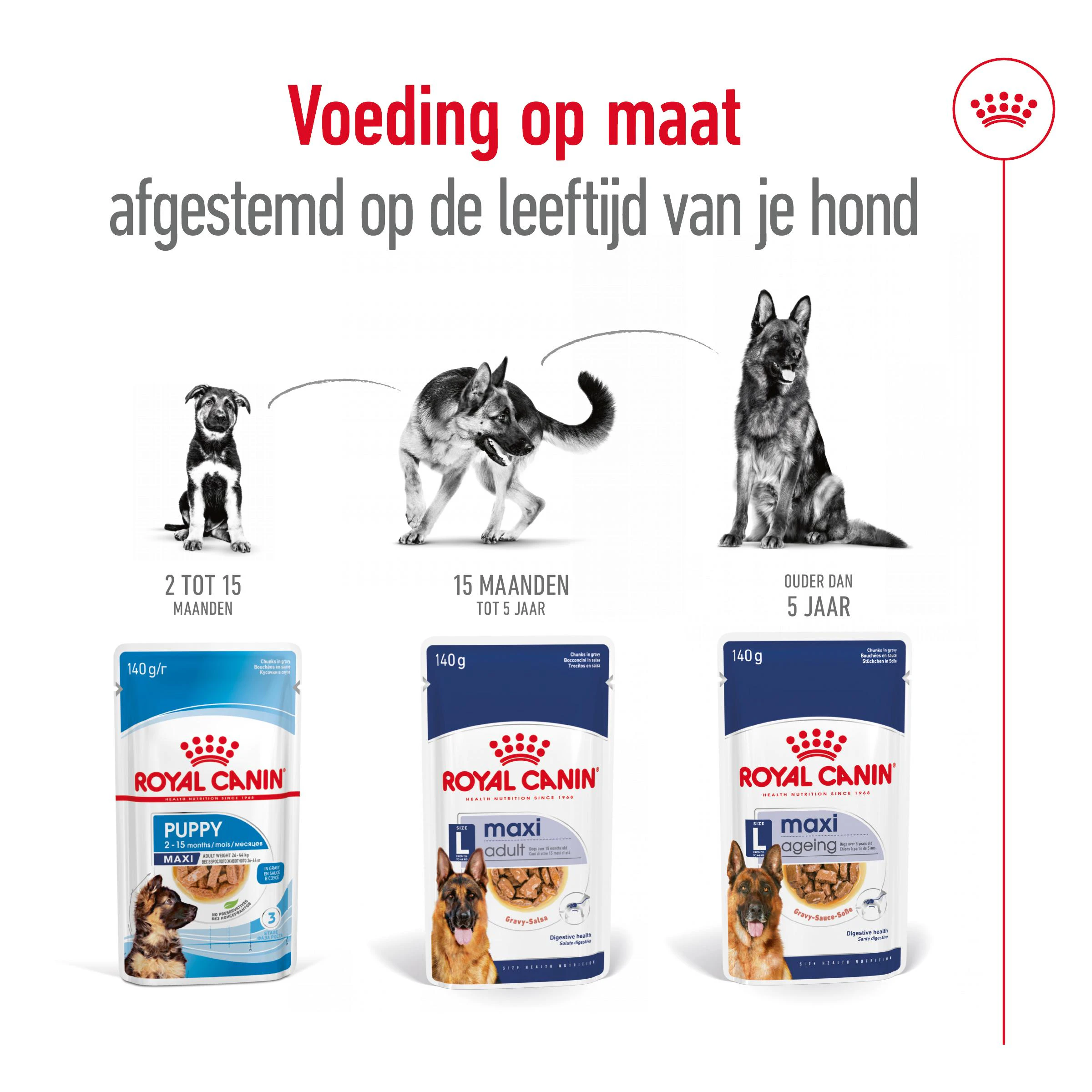 Royal Canin Training Treats jetzt günstig kaufen