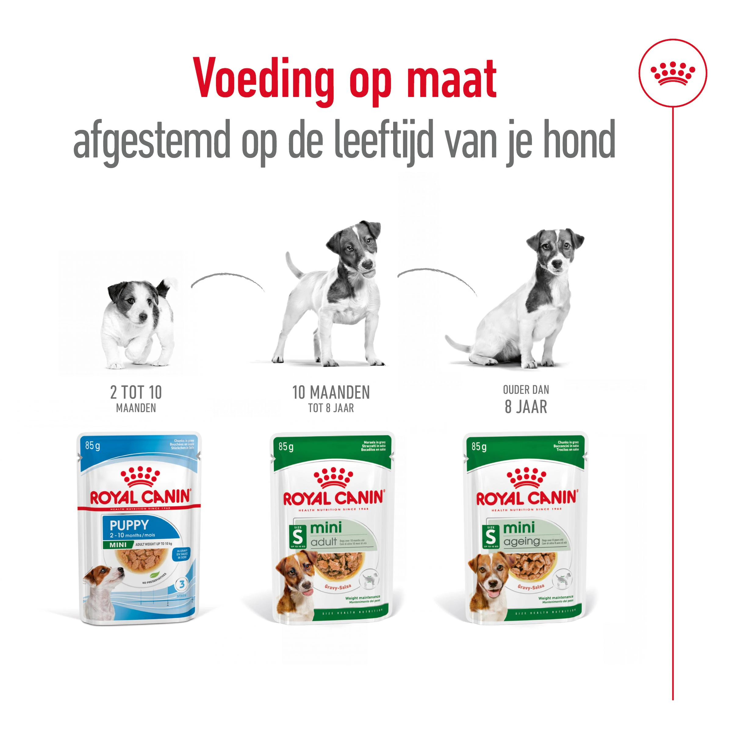 Royal Canin Mini Adult Natvoer Hond 12x85g Royal Canin Size