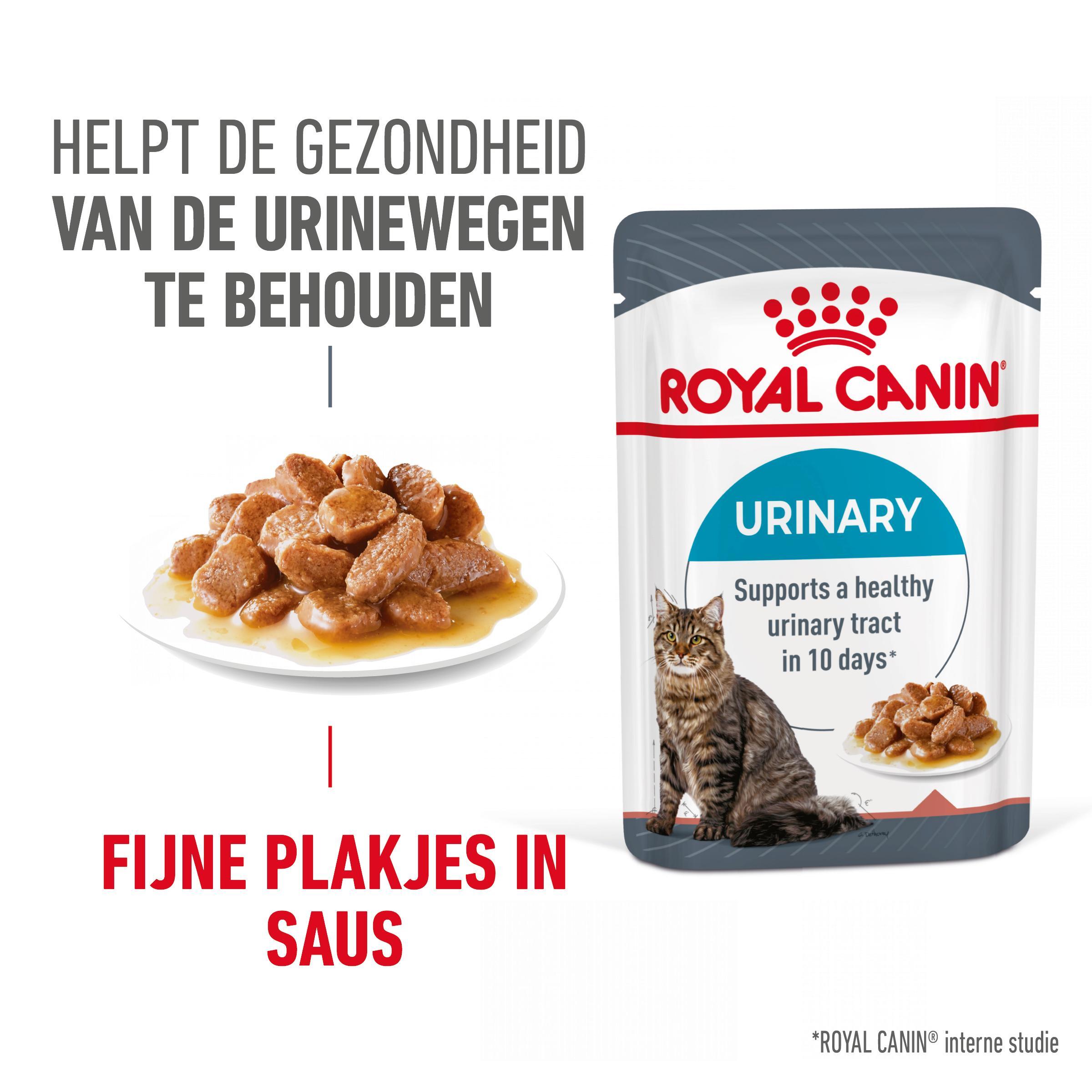 Urinary royal shop canin kat