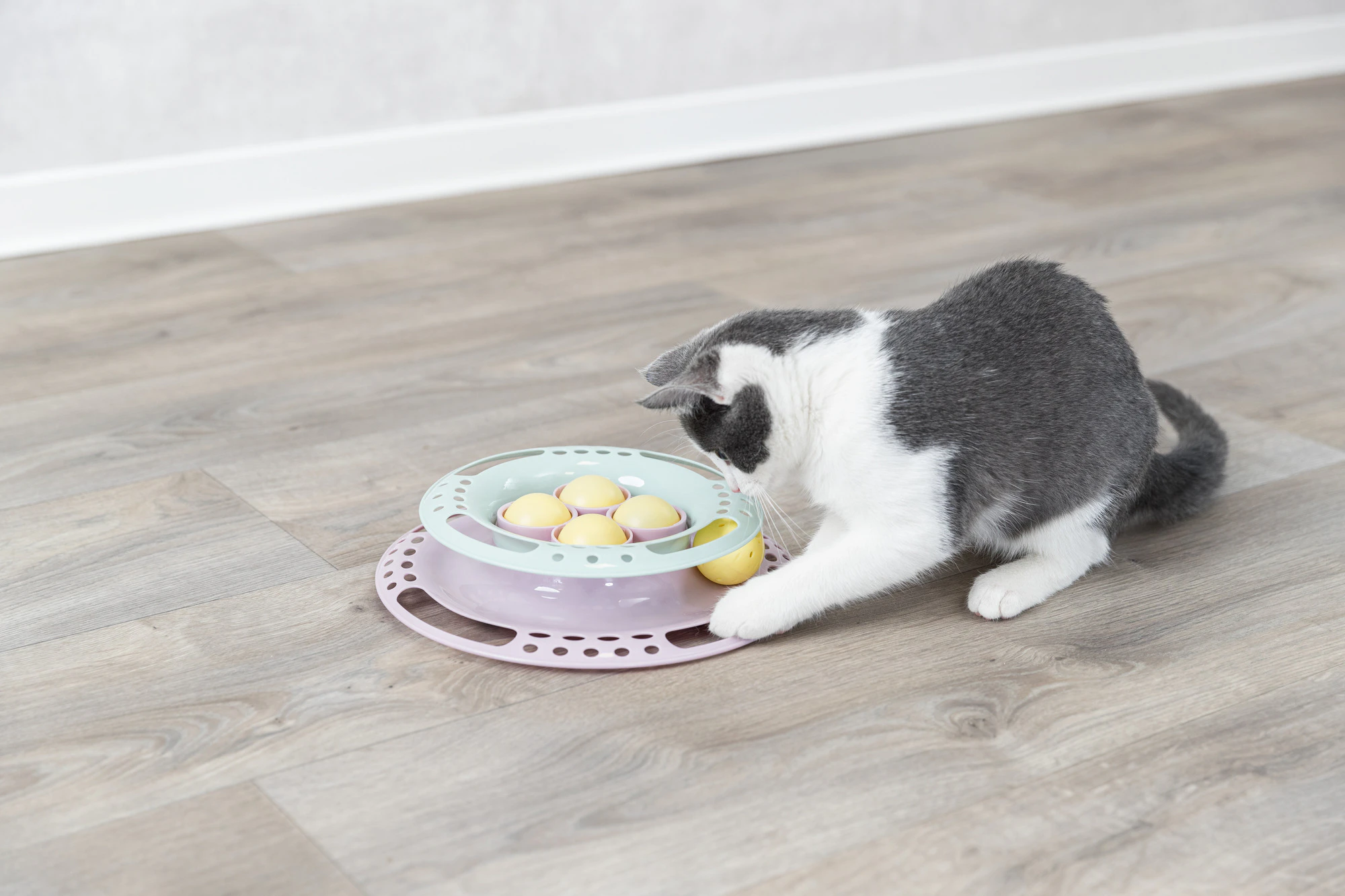 TRIXIE Junior Kitten Circle Track - Interactive Cat Toy With Rolling Balls For Chase & Play