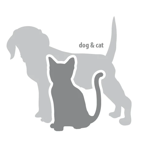 Pot Apothicaire Rangement Coton GAIREG Lot De 2 Porte Coton-Tiges Chien – Distributeur Q-Tips Coloré Avec Couvercle, Pour Salle De Bain & Coiffeuse