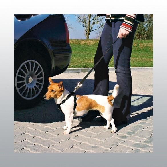 Laisse de securite auto pour chien – MadeInHobbies