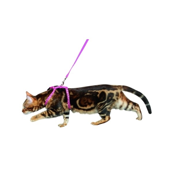 Laisse-harnais pour chat Kerbl - Chien