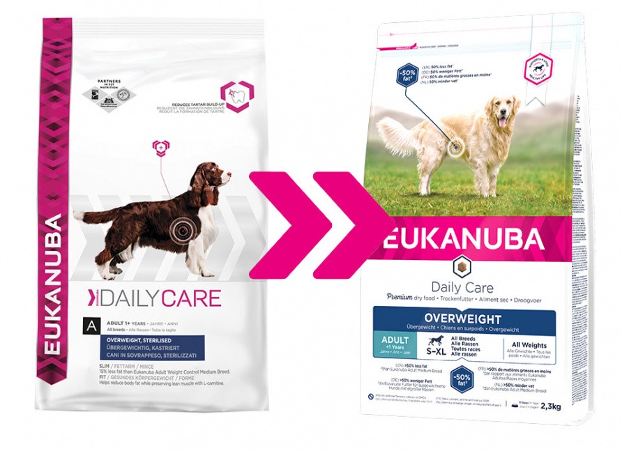 Eukanuba Daily Care Overweight/Sterilized – Hondenvoer – 12,5kg - Droogvoer Hond Hondenvoer Eukanuba |