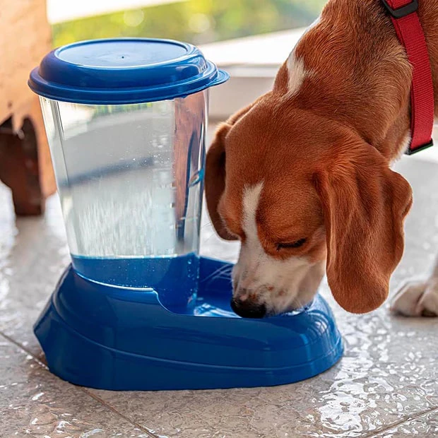 Molly&Cody Trinkautomat BALOU Futterspender für Tiere