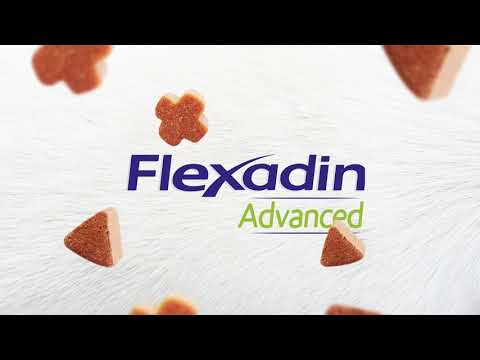 On a testé le Flexadin Advanced : le complément articulaire pour