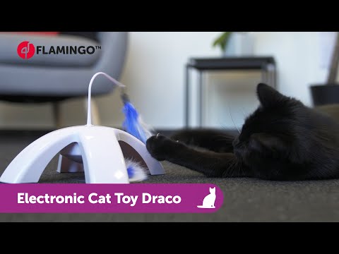 Sijpelen Tegenslag commentator Ps Draco Electro 23,2cm - Interactief-Elektronisch speelgoed Kat -  Speelgoed Flamingo | Pharmapets