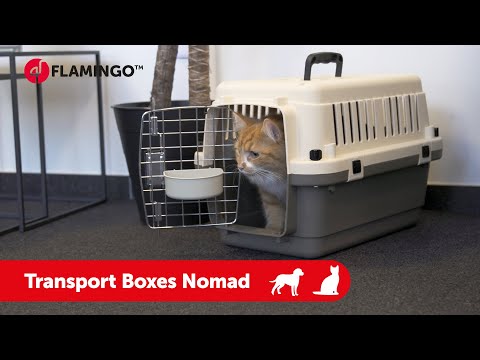 diefstal sturen Verleiden Transportbox Nomad Grijs S 40x61x41cm - Kunstof transportbox Hond - Op Stap  Flamingo | Pharmapets